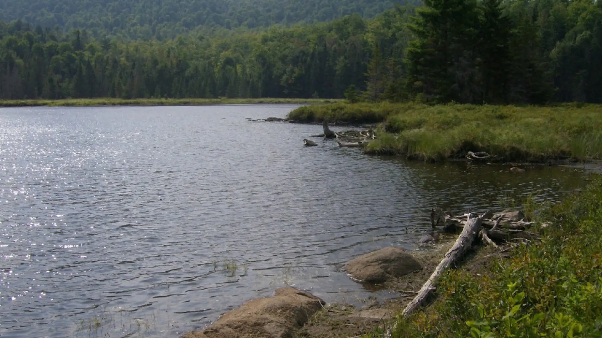 Tom Peck is a lovely scenic pond.