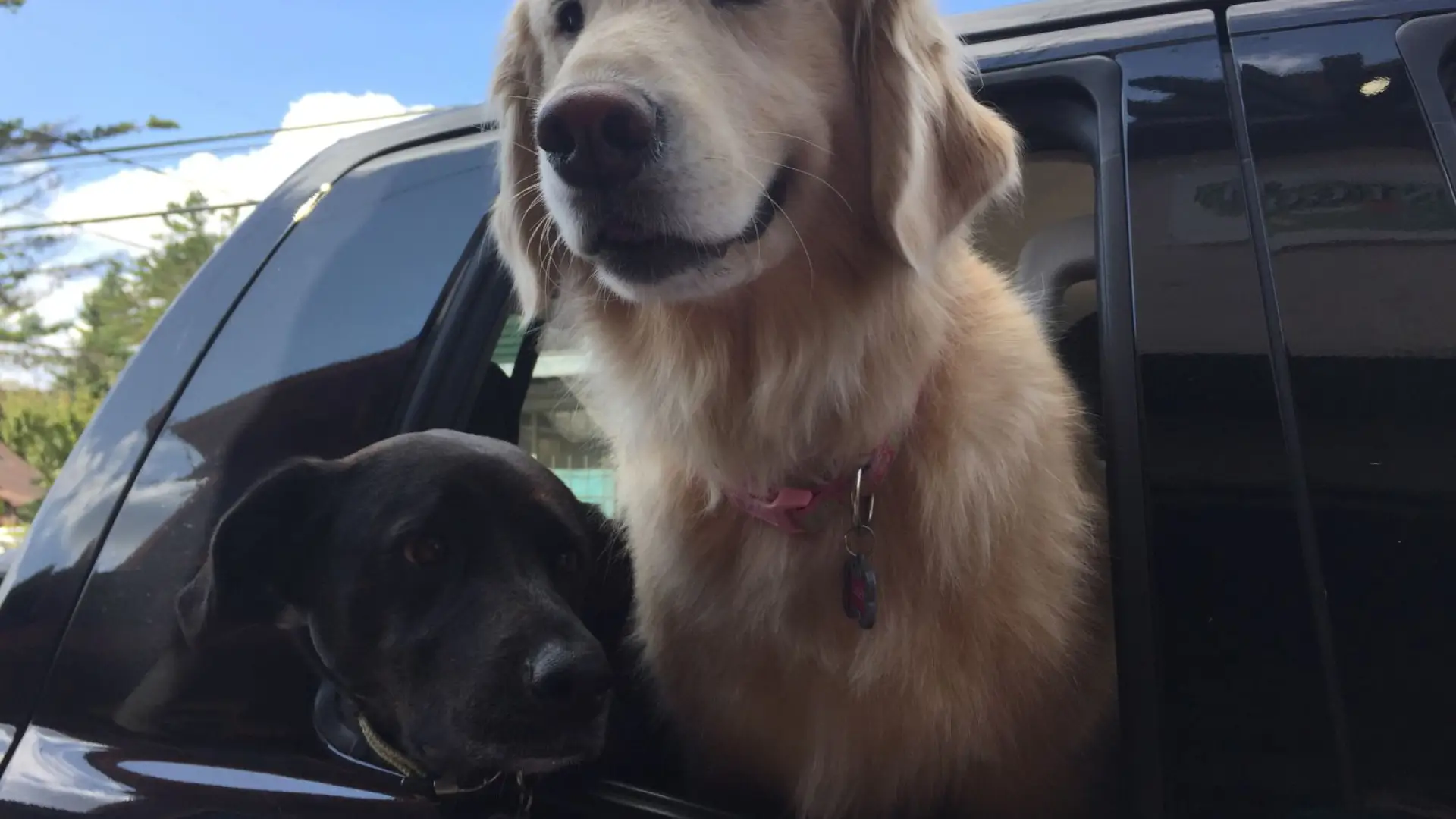 We're going on vacation.