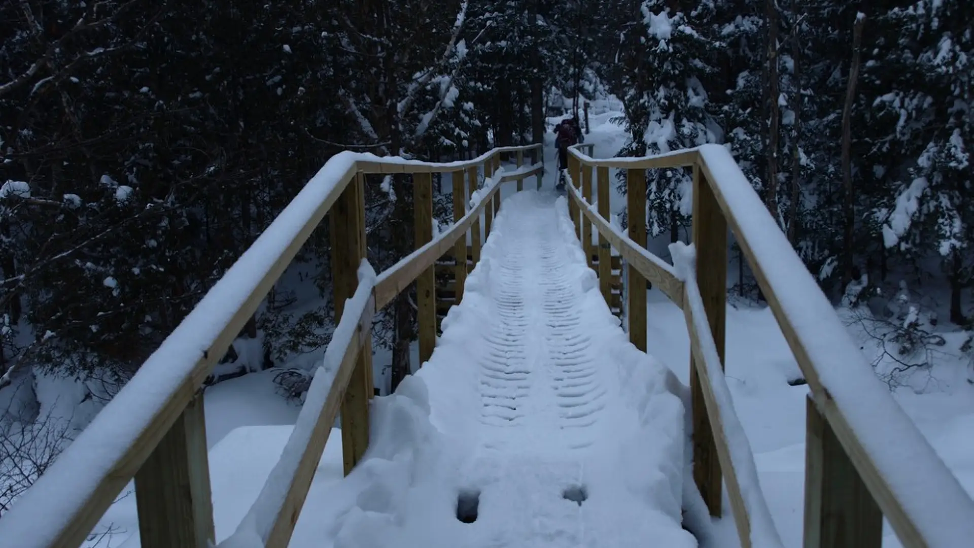 There are bridges to traverse the trickiest parts of the Tabletop trail.