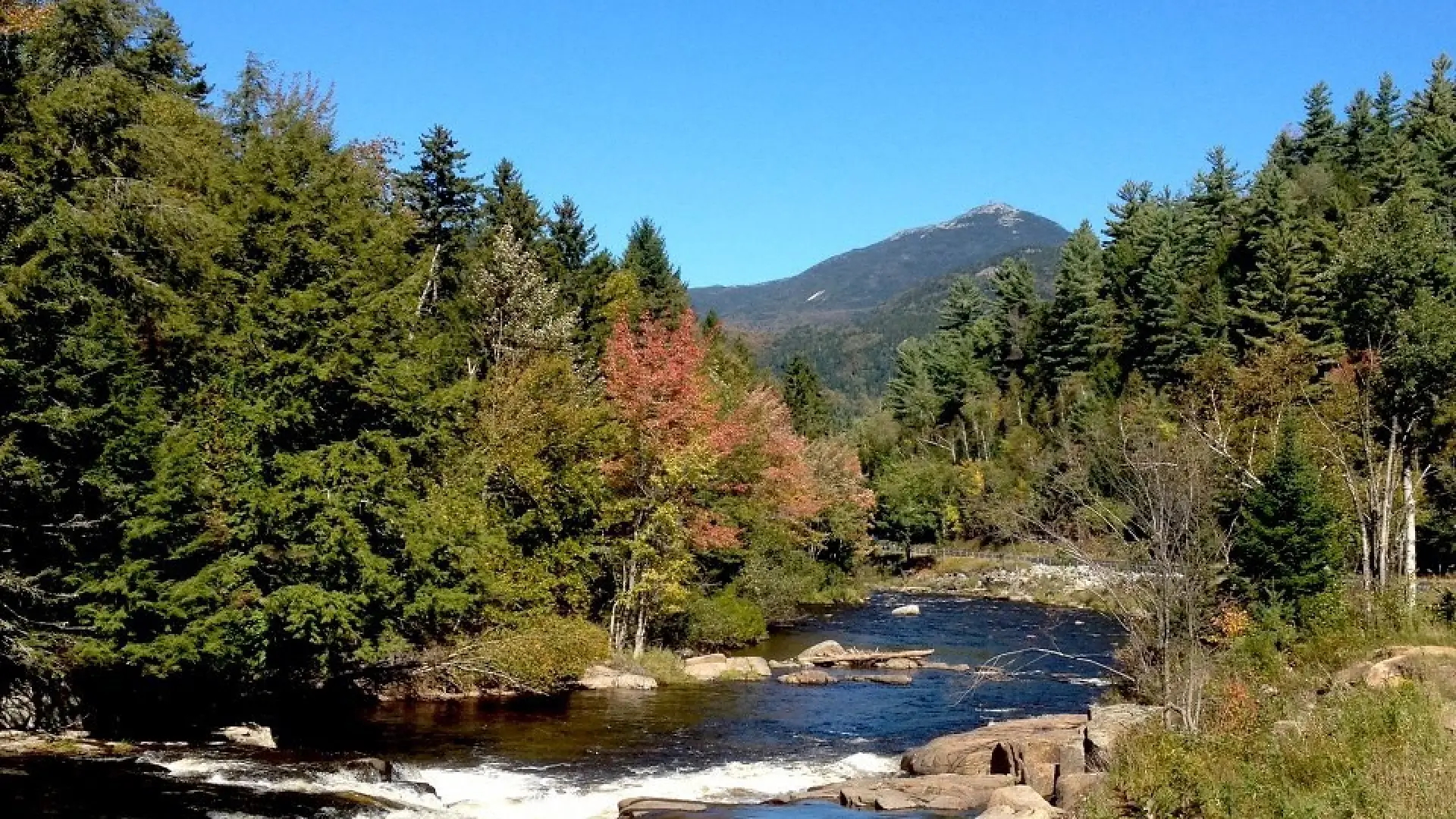 A fall view of a river cutting through trees, with a mountain perfectly framed amongst the scenery.