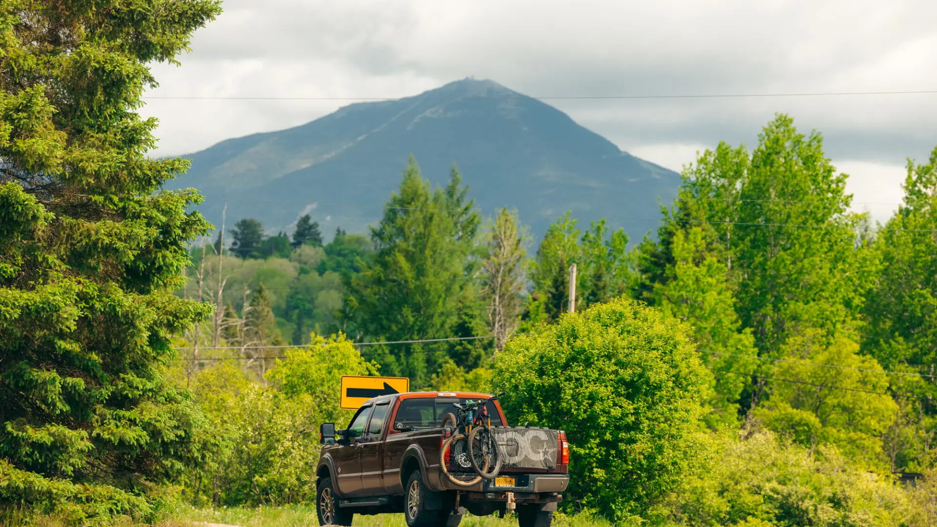 A truck parked on a road during the summer.