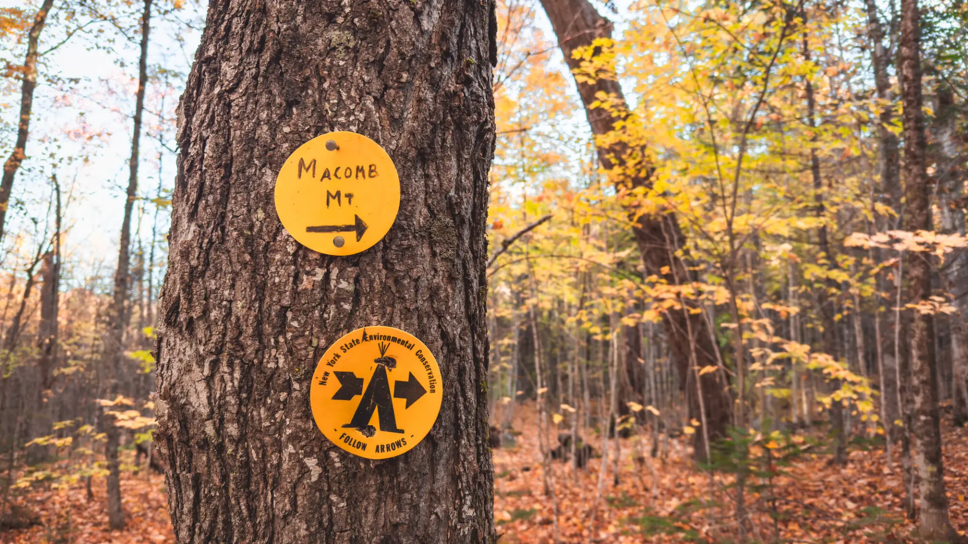 Trail marker for camping