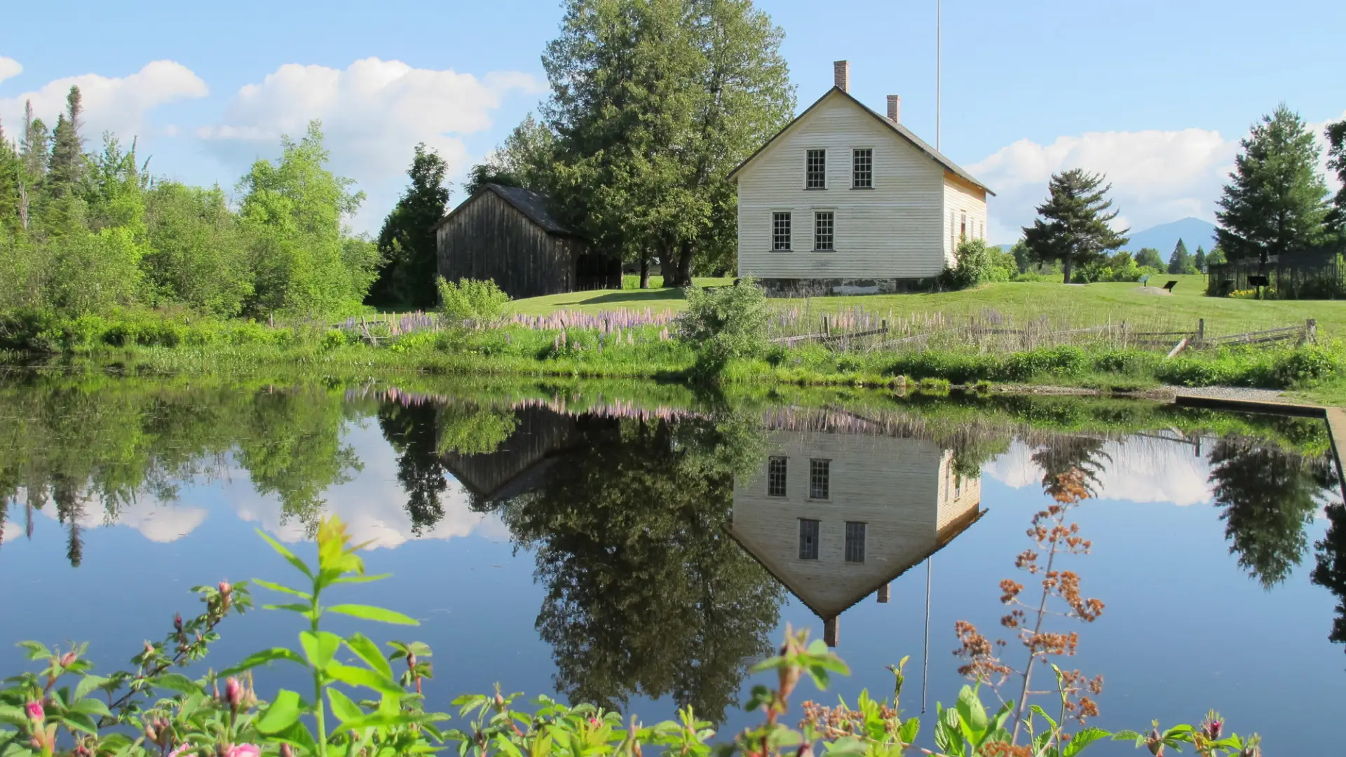 A vintage white farmhouse sits next to a calm pond, surrounded by summer greenery.