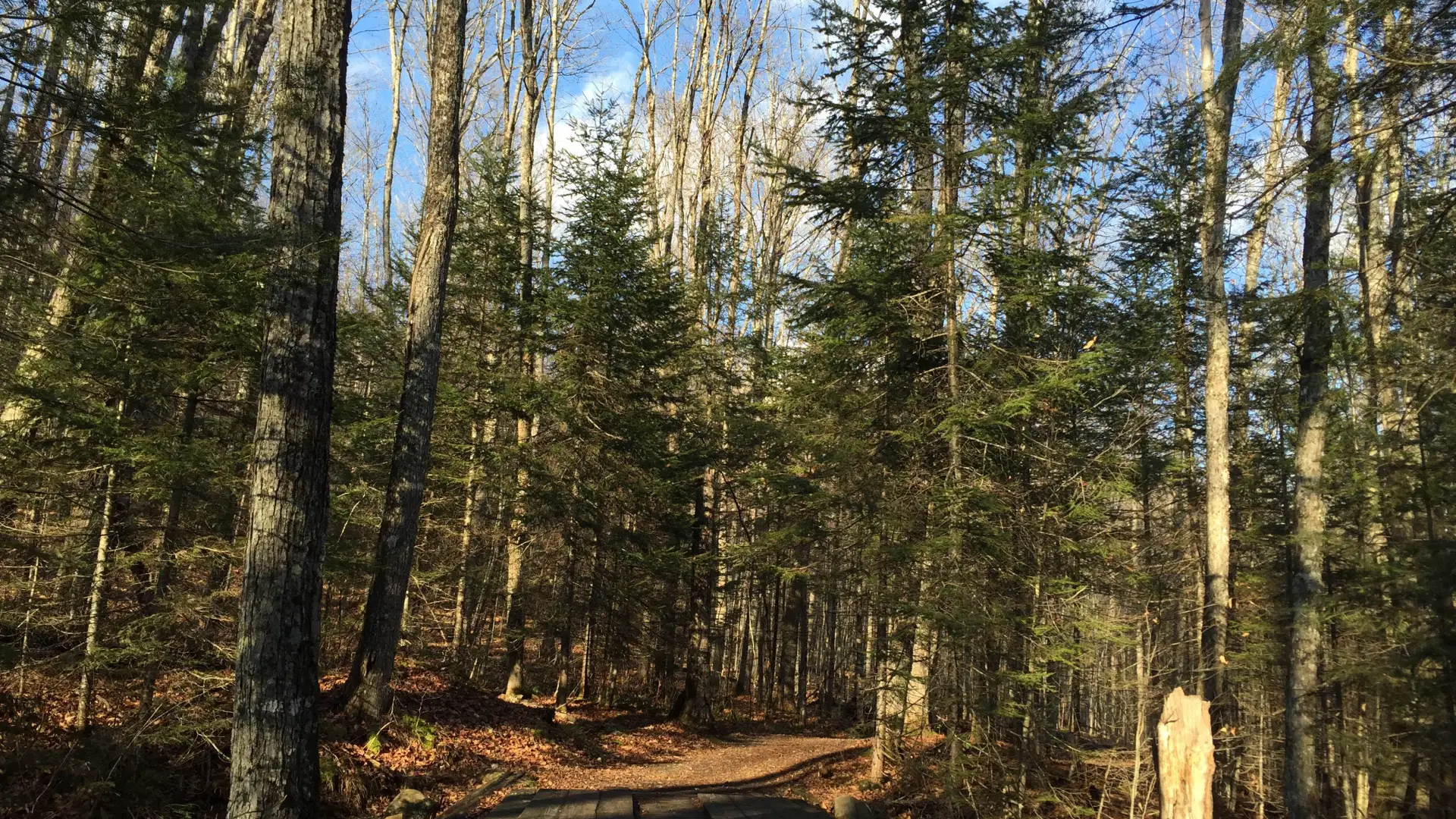 Use the bridges which protect the trail.