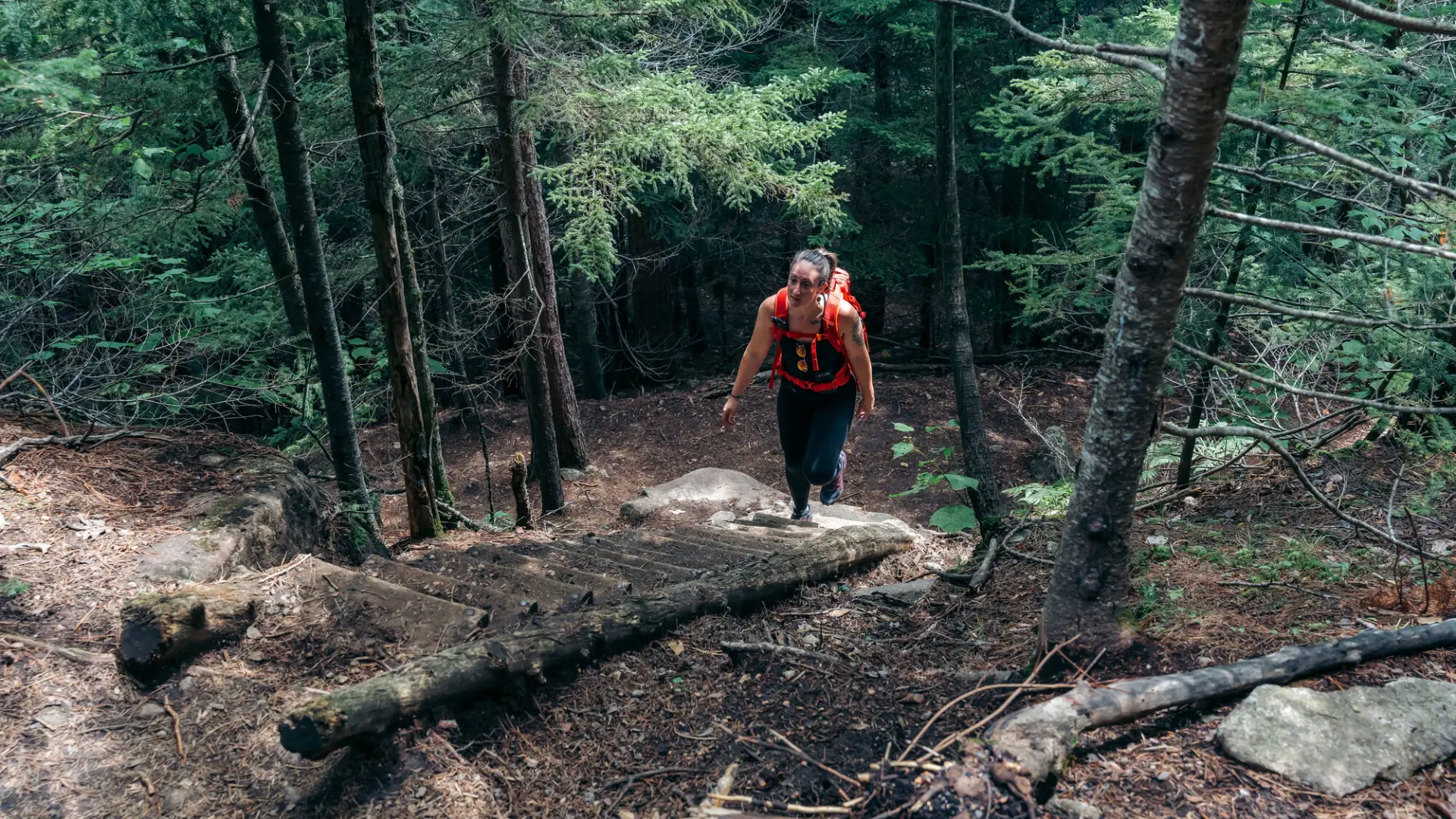 Hiker walks up wooden ladder on forested trail