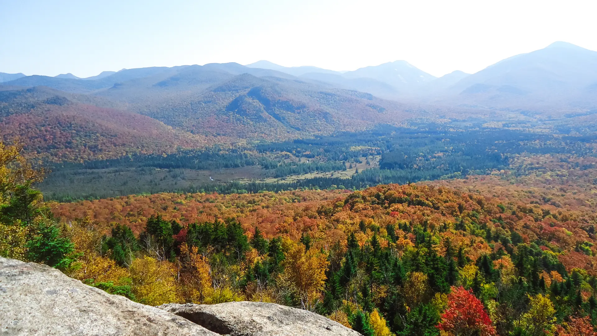Fall view from the summit of Mount Van Hoevenberg. The High Peaks are covered in vibrant, colorful foliage.