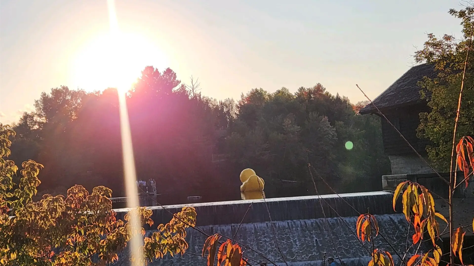 Large inflatable yellow duck floats in river above dam at sunset
