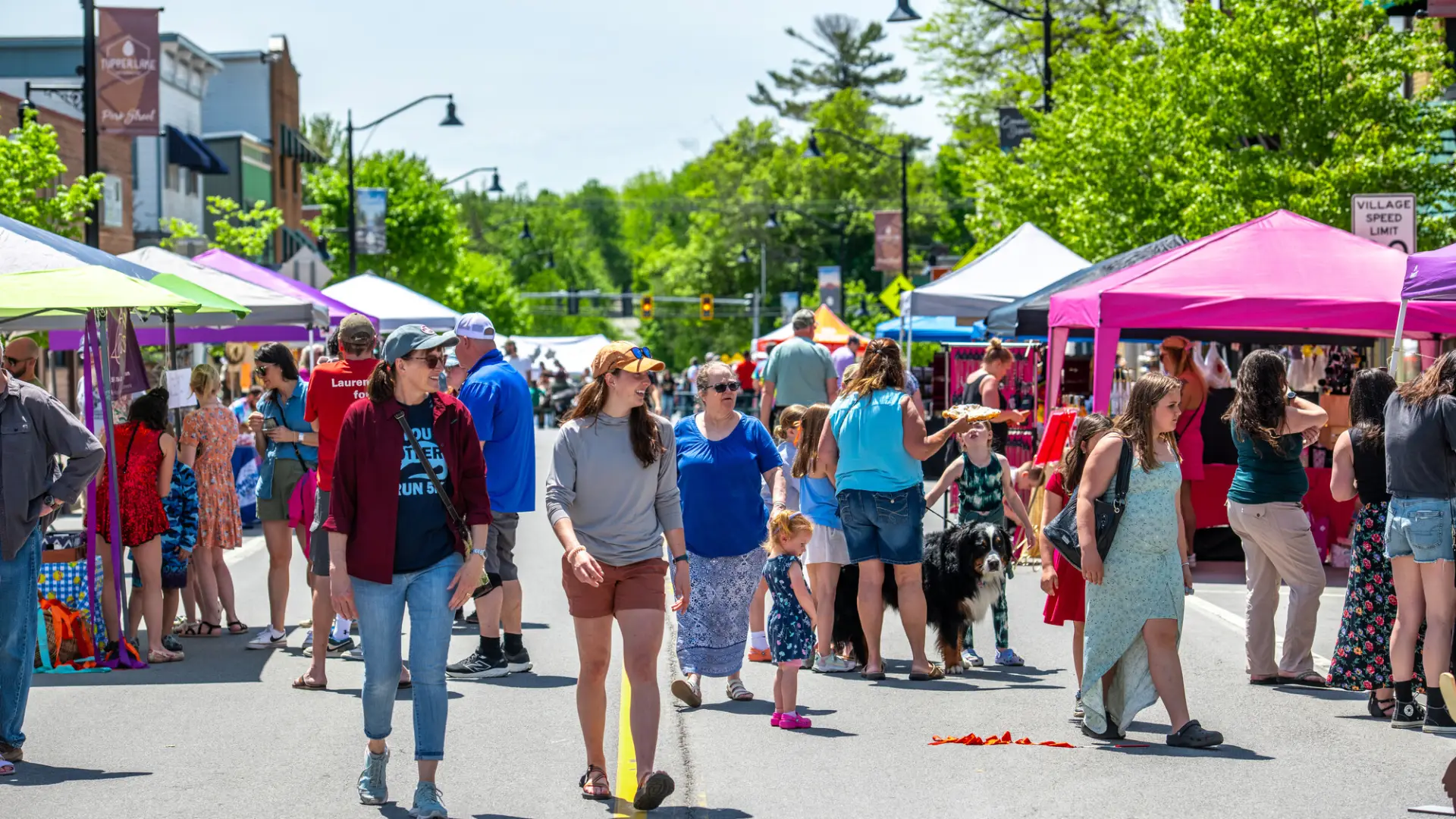 A crowd of people enjoying an event during a sunny day.