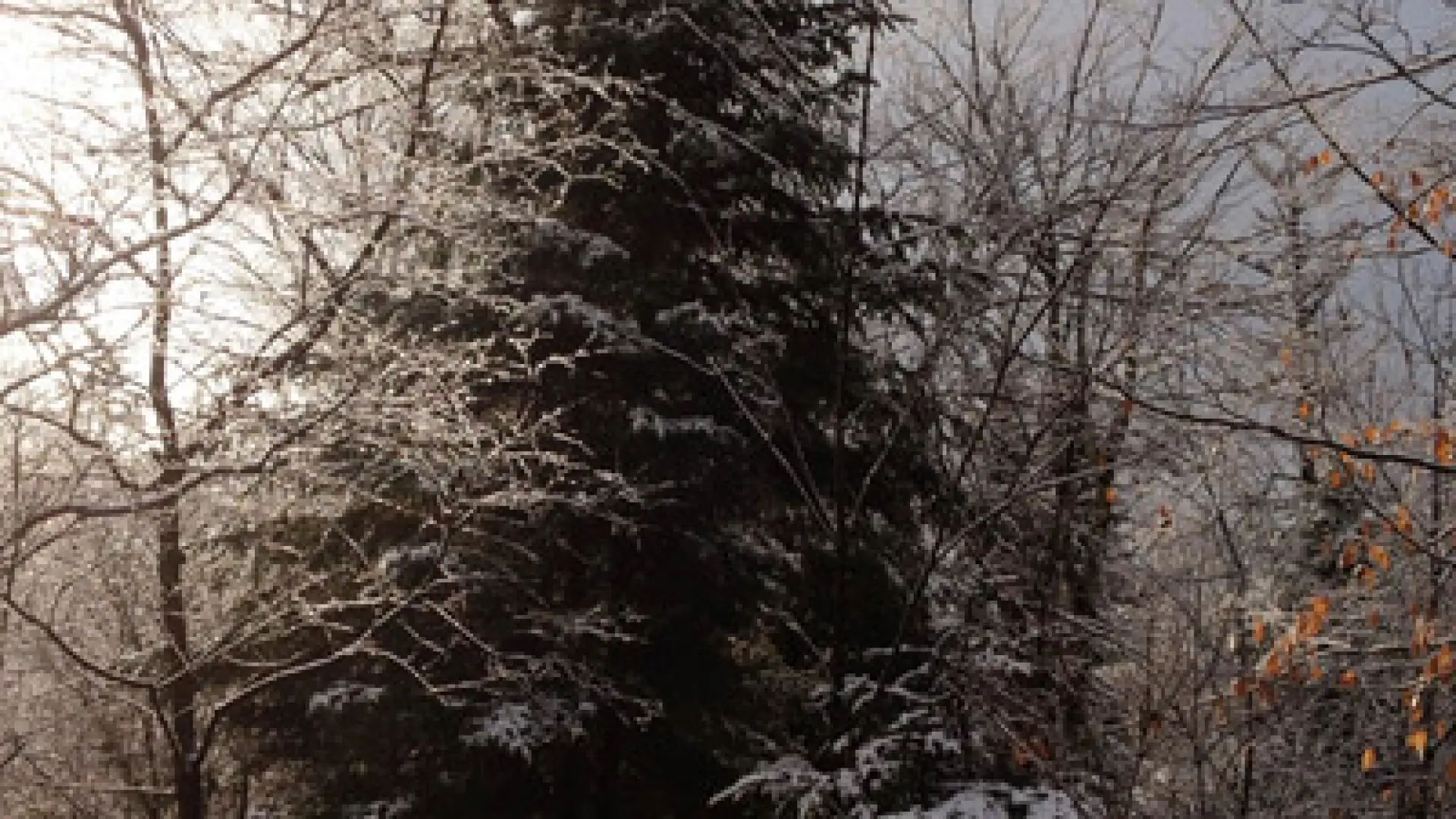 first snow