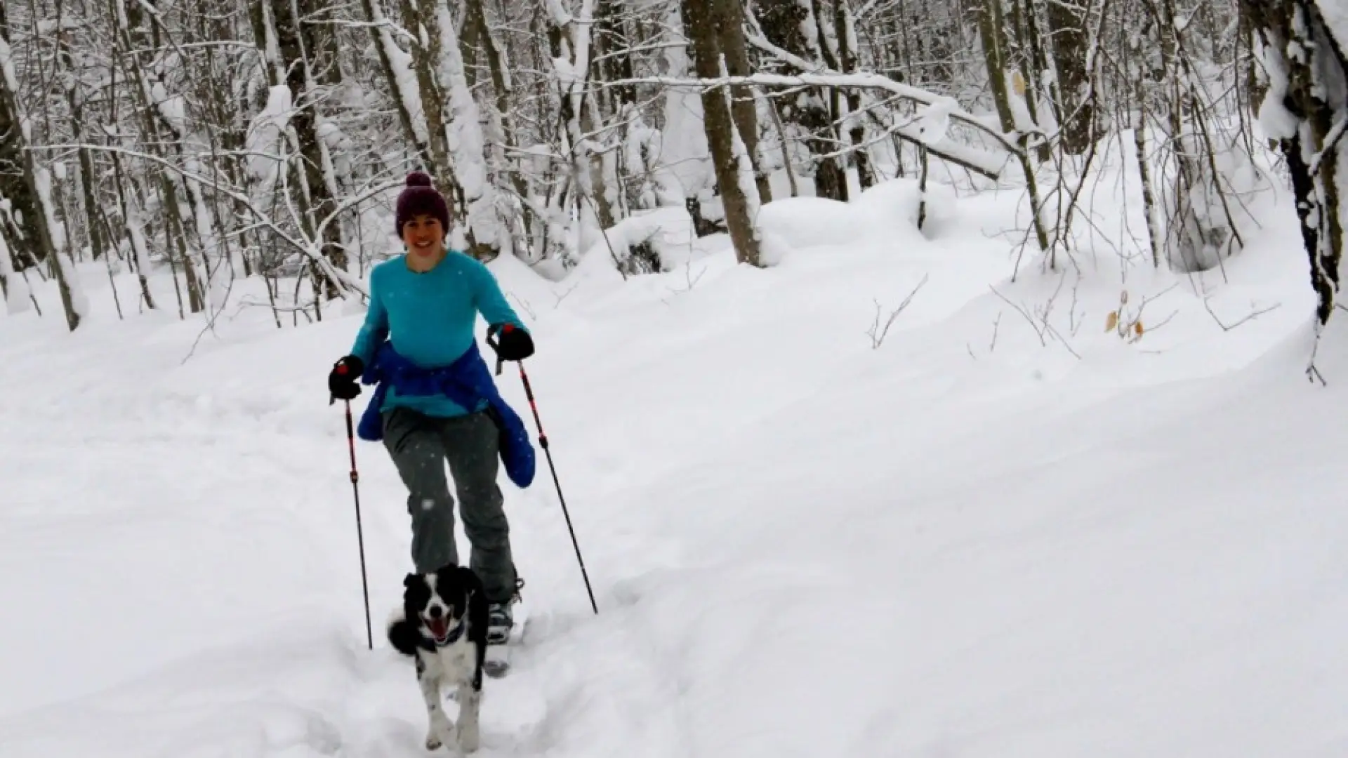 Lake Placid can be a powder paradise for both 2 and 4-legged skiers