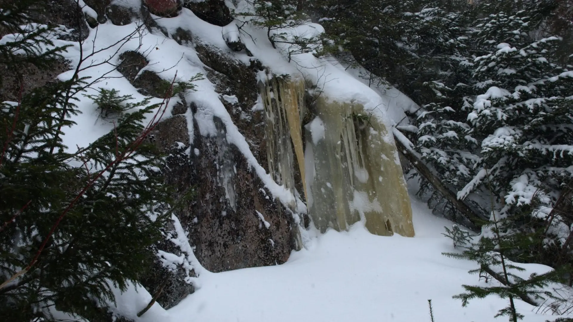 Choose a site with natural protection and wind barriers