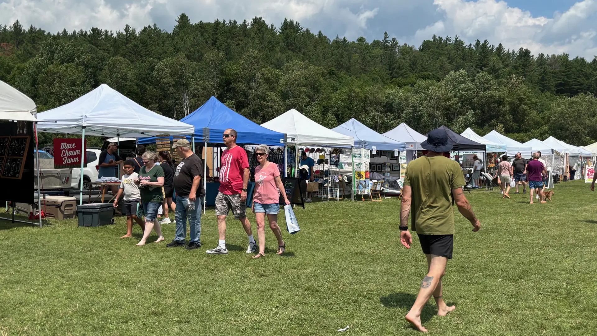 A long line of vendors tents with shoppers mulling around.