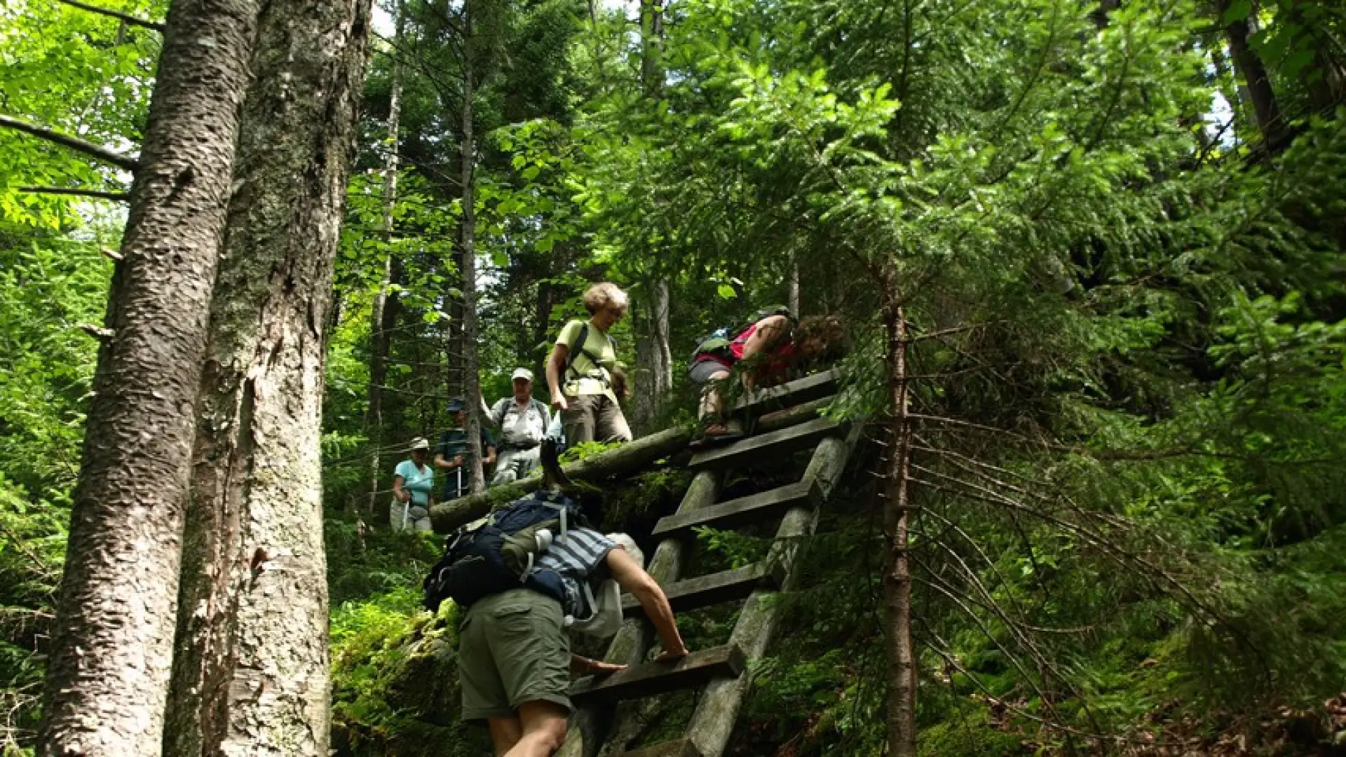 Here's another easy route up.