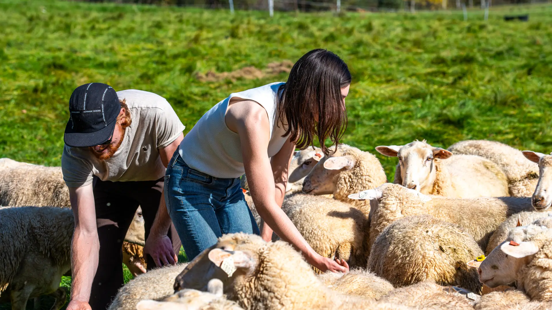 farming