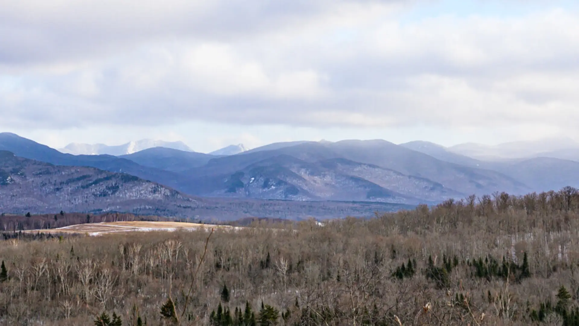 A photo of a wintery landscape from Henry's Woods.