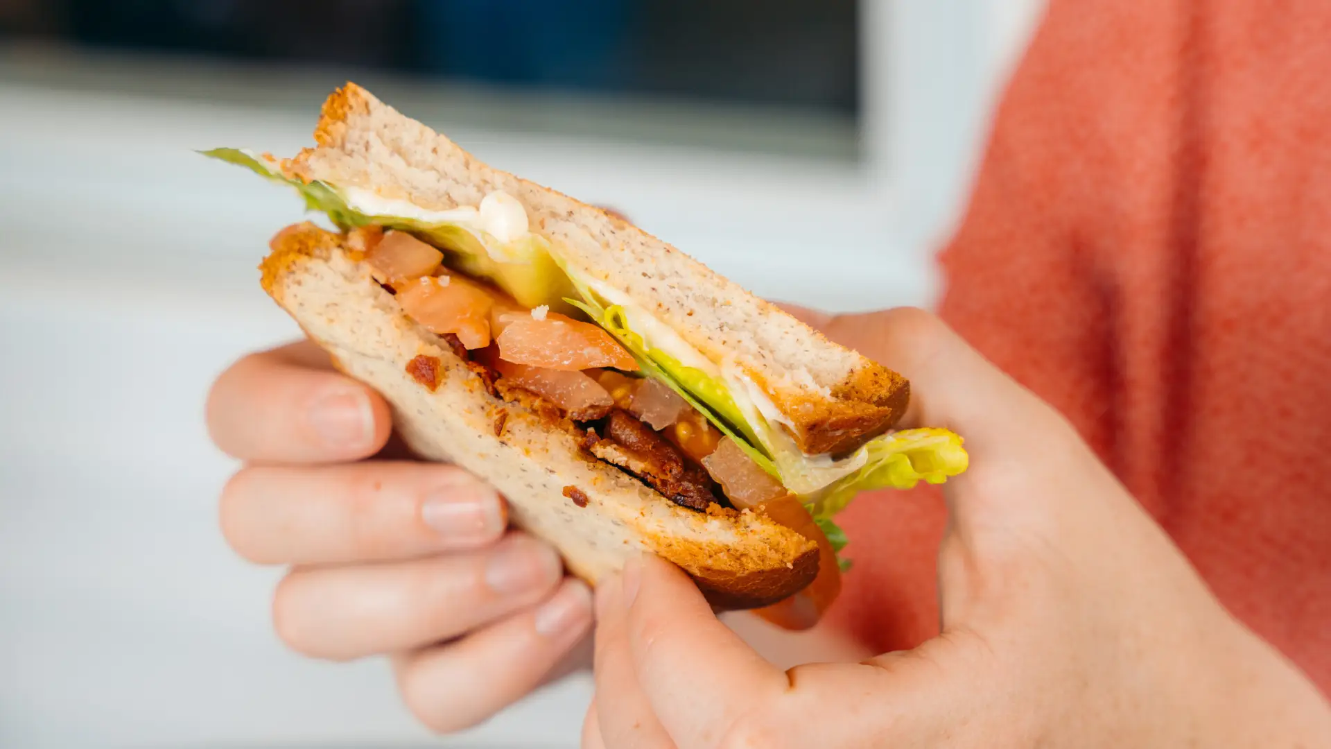 A person holds a sandwich. 