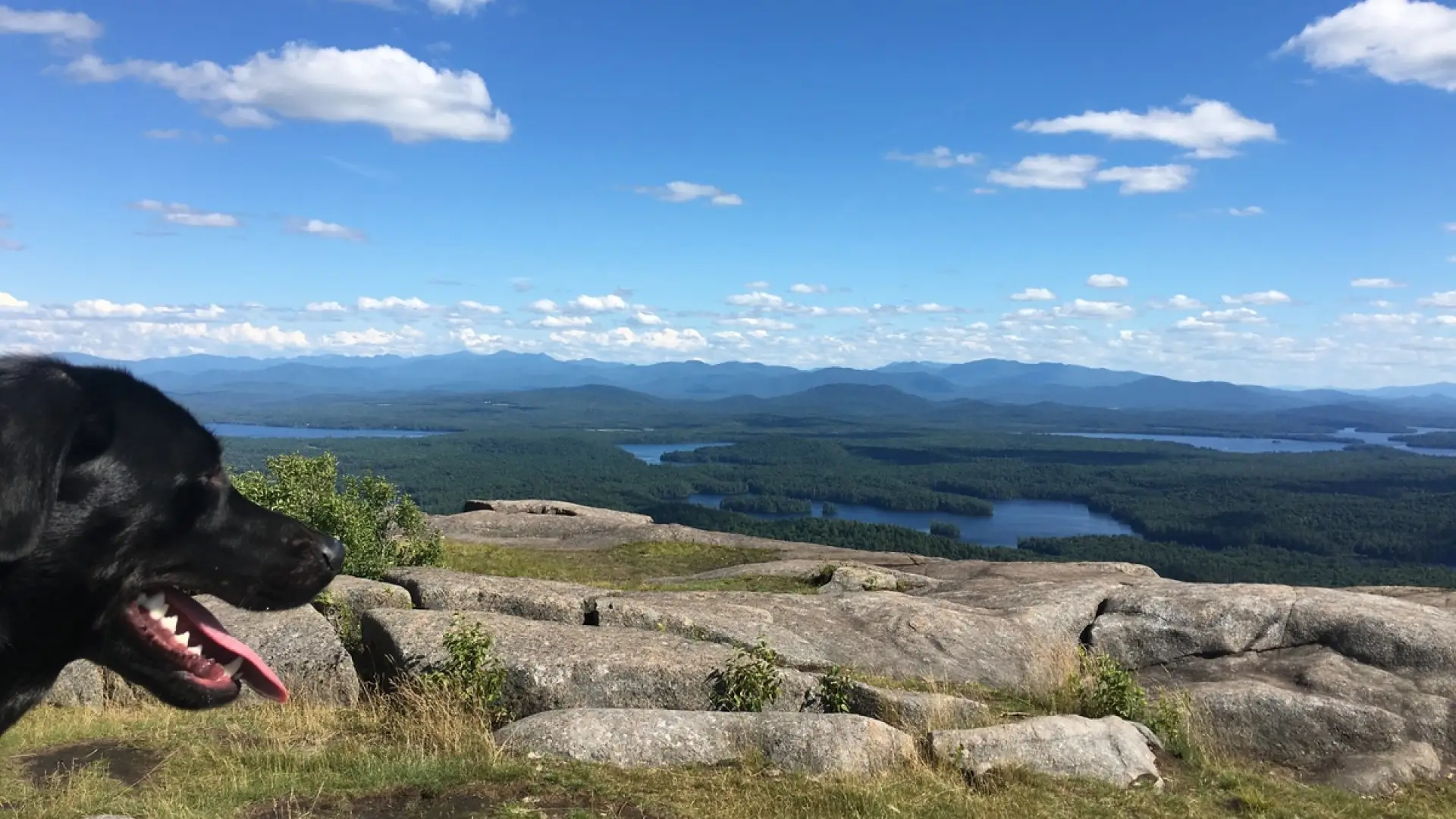 Summit of St. Regis Mountain