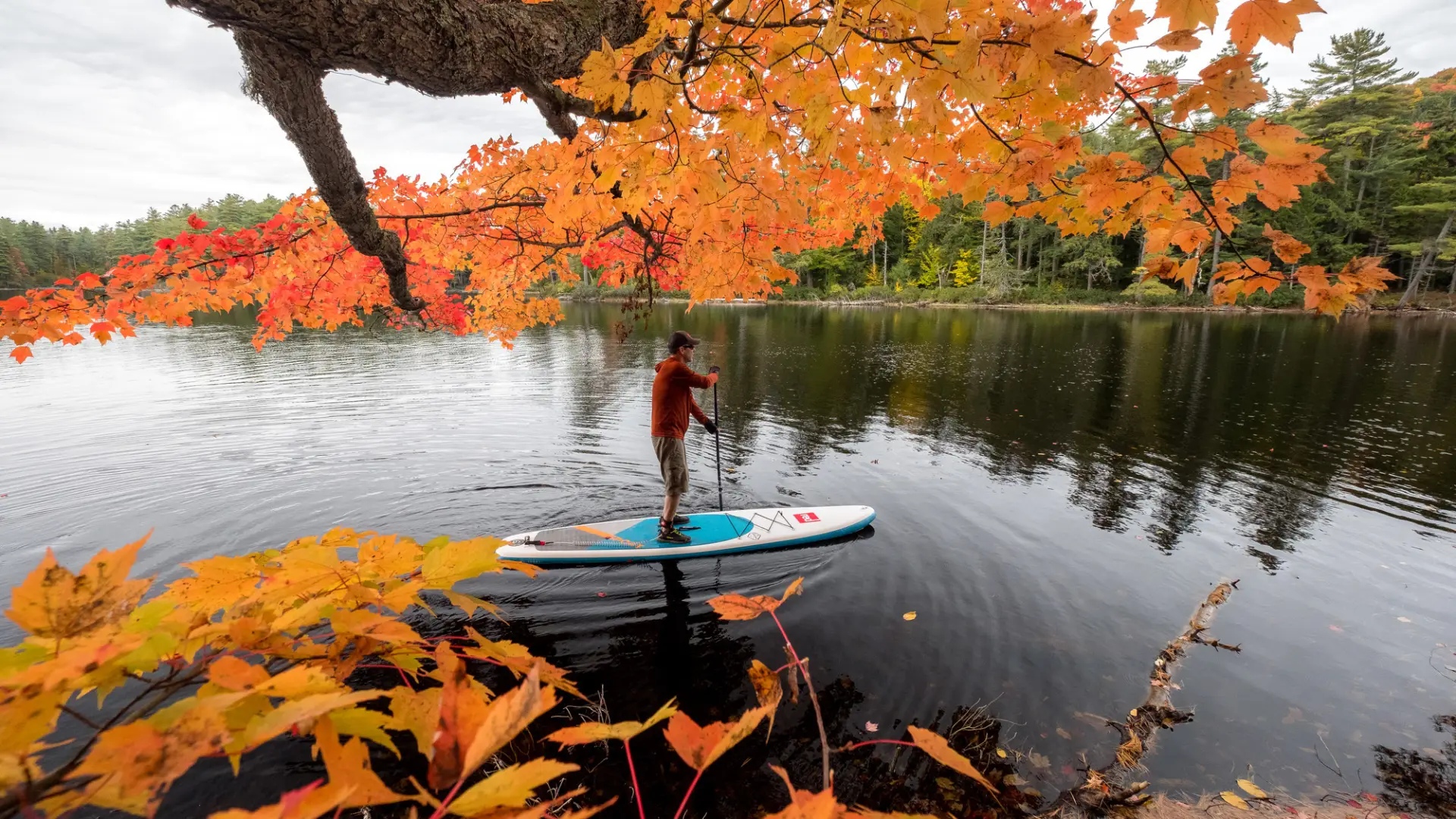 A person paddleboarding through fall foliage.