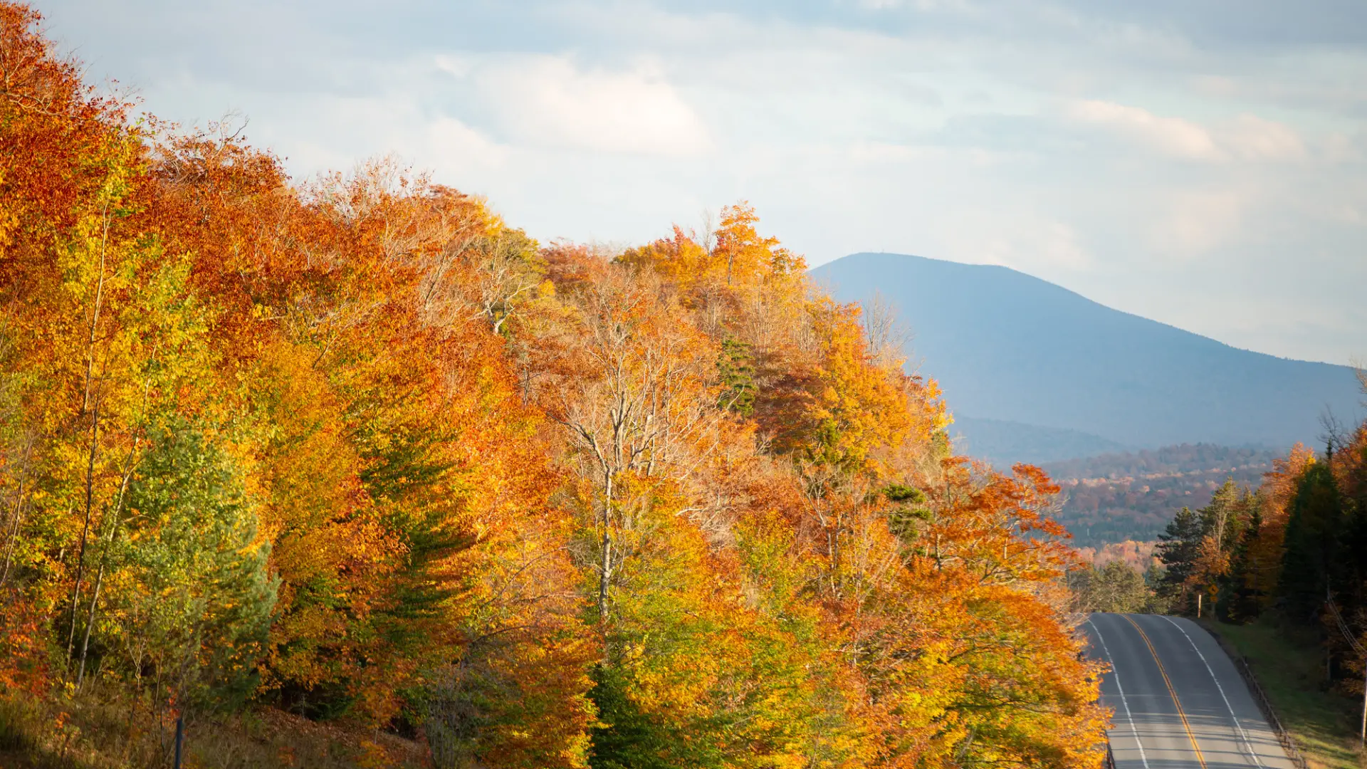 A road cuts through mountains with fall foliage.
