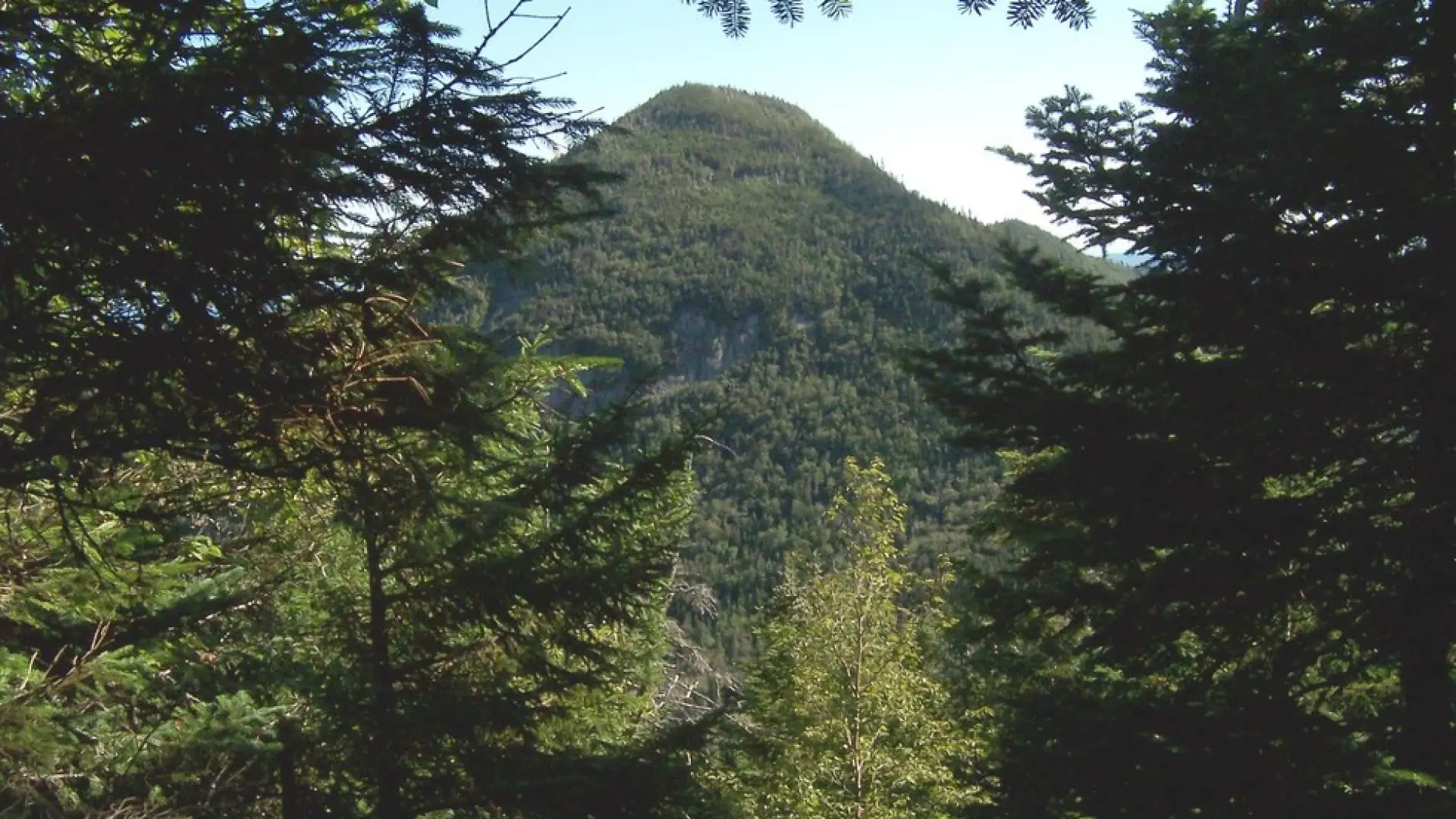 Beautiful views, but be sure to push on to the real summit.