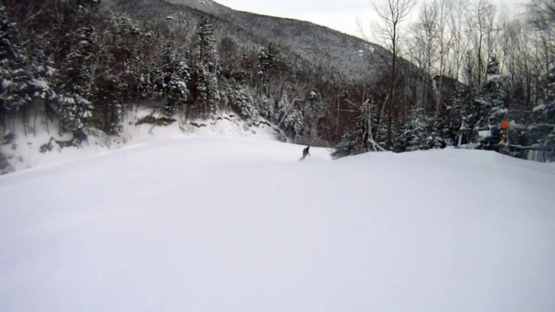 First Tracks program Excelsior