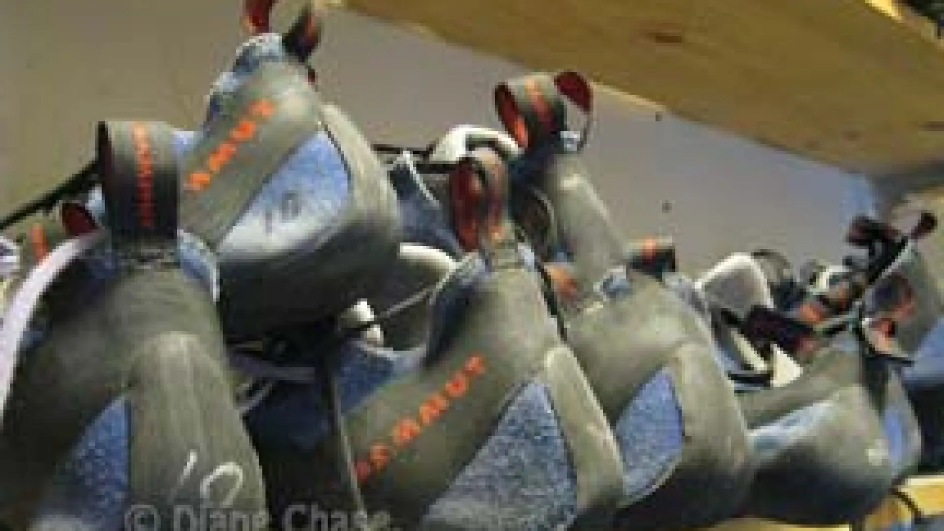 The Climbery Rental Shoes