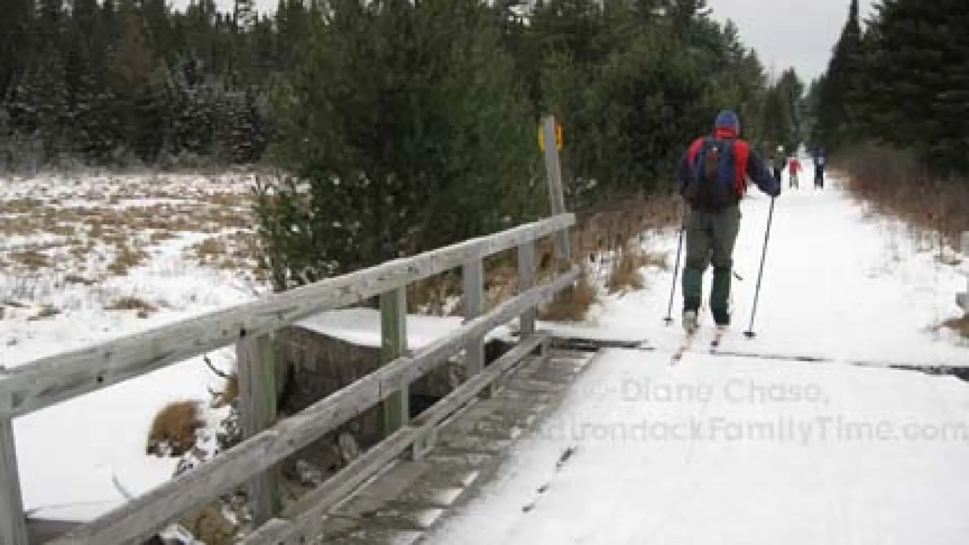 Bloomingdale Bog Cross-Country Ski Trail