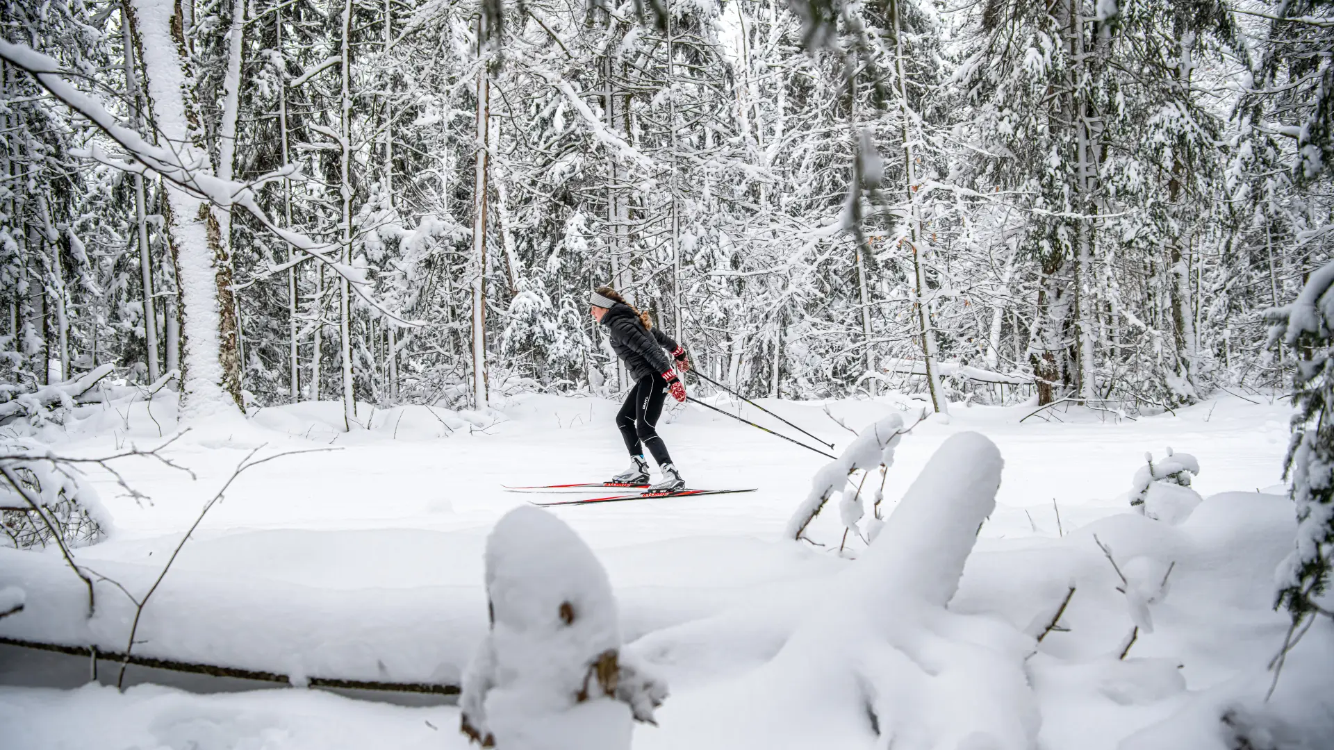 Woman cross-country skiing through a snowy forest.