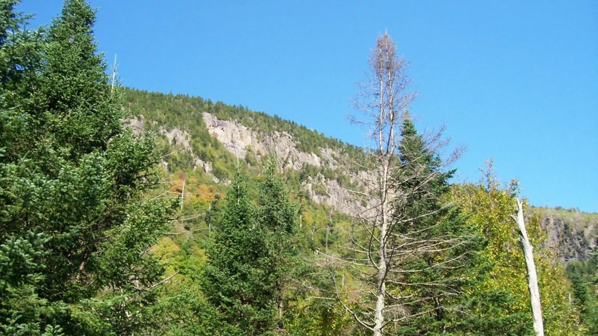 The banks of the river add interest to hiking and fishing.