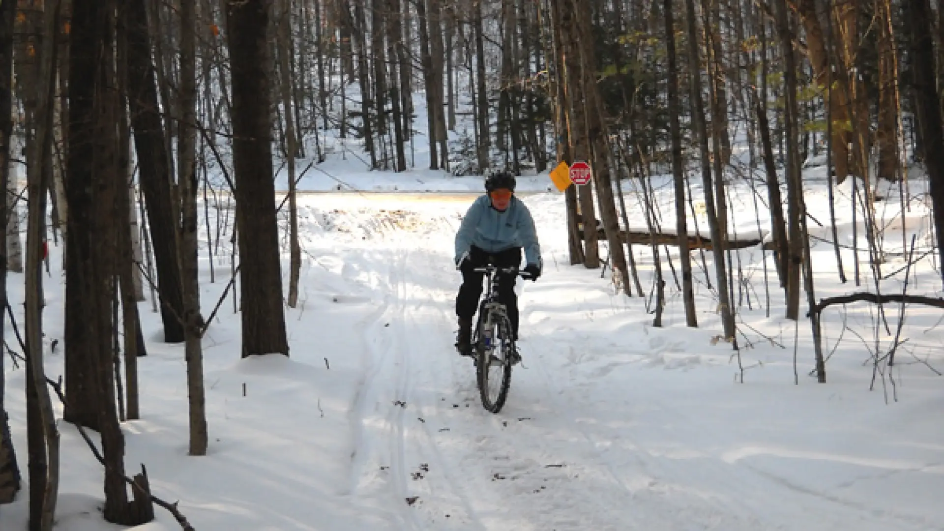 winter mountain biking