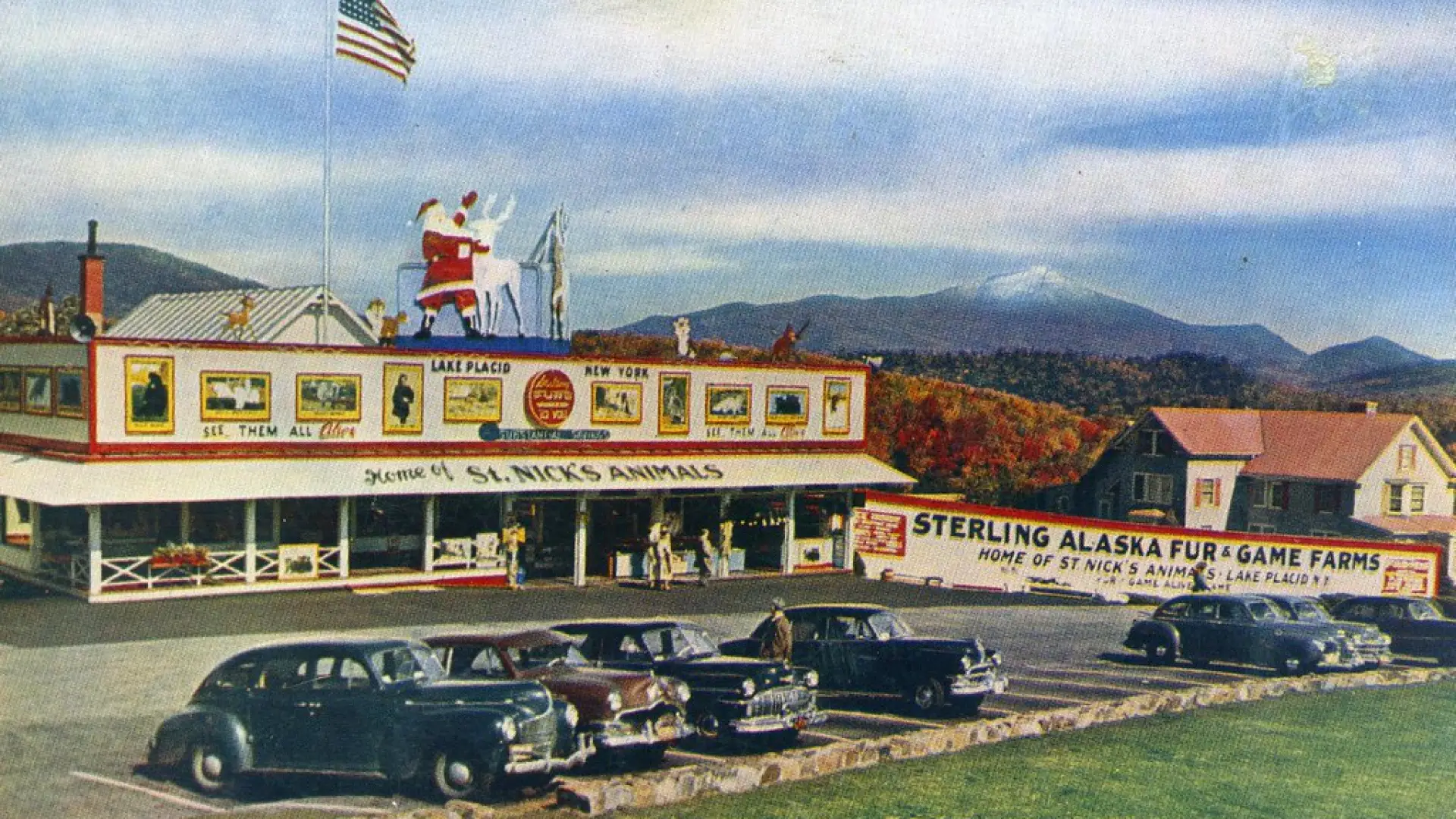 Postcard depicting Sterling Alaska Fur & Game Farms in Lake Placid, New York, showing the building with a Santa Claus and reindeer on the roof, several cars parked in front, and a mountain in the background.