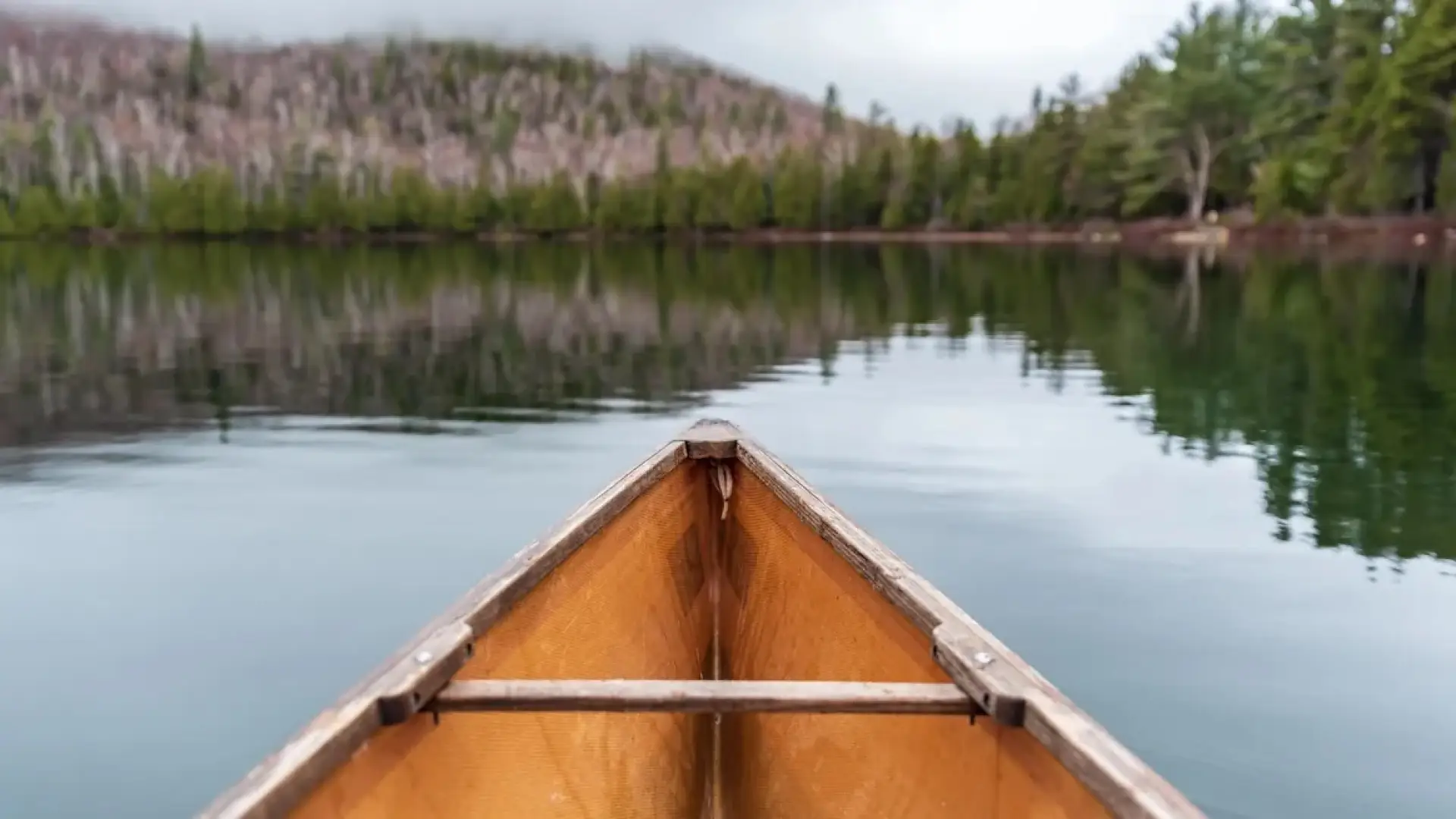 View from the front of a canoe on a calm lake, surrounded by trees and a distant mountain.