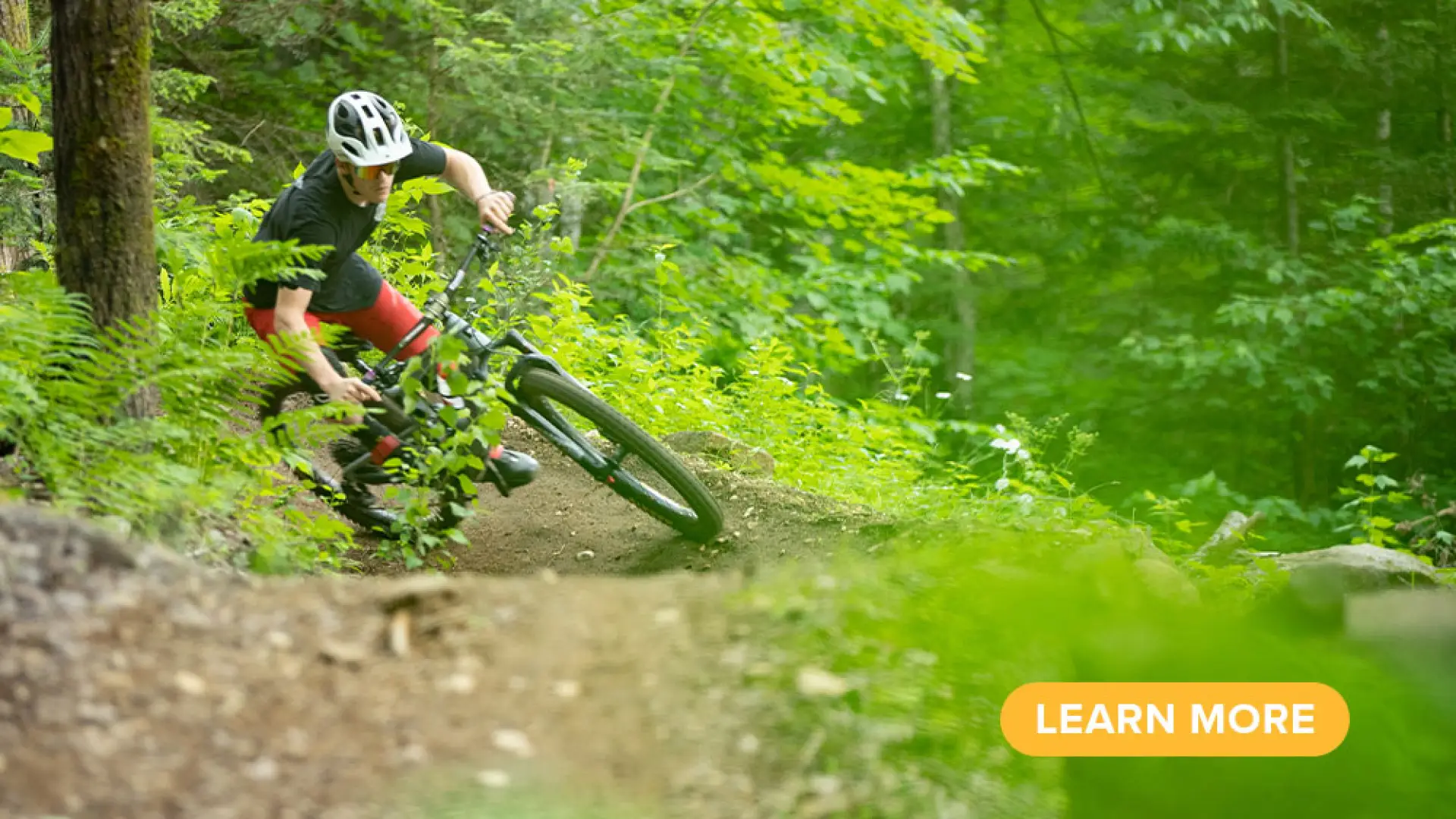 A mountain biker makes a turn on a wooded trail.