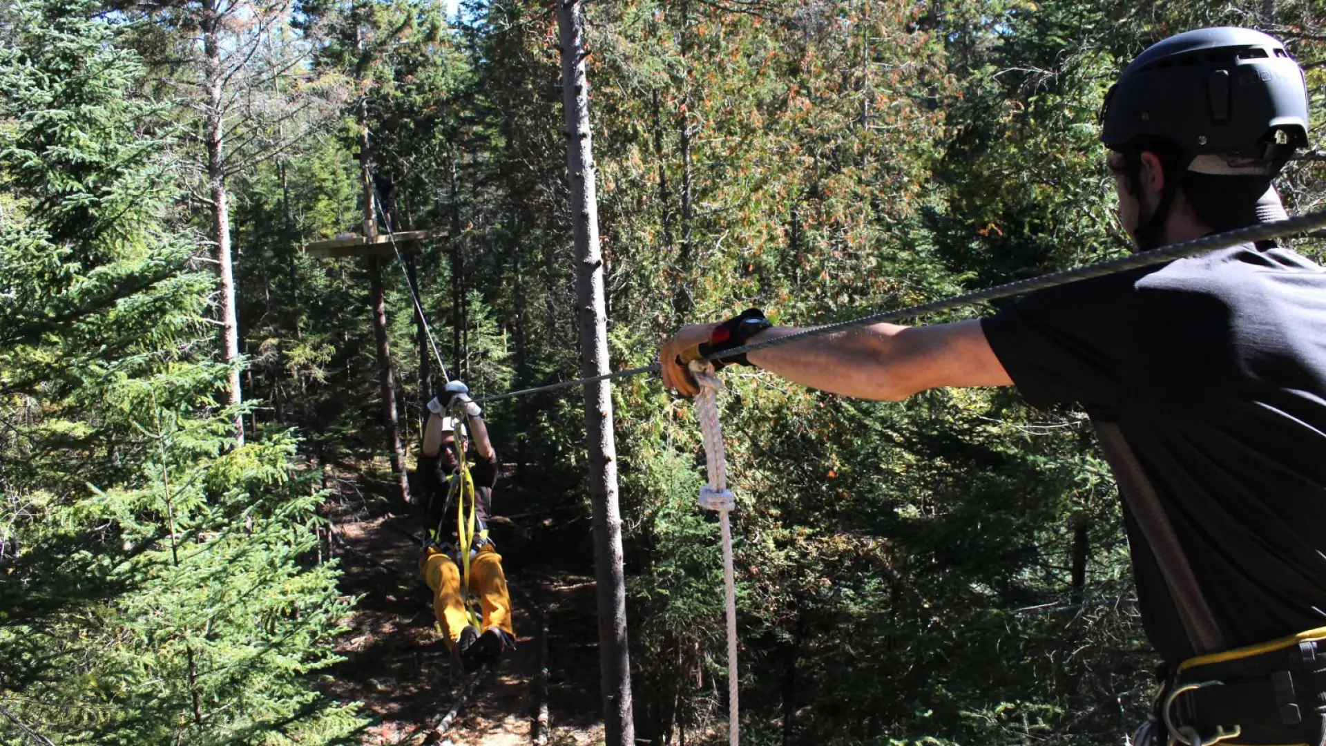 Zip lines provide a smooth ride through the treetops.