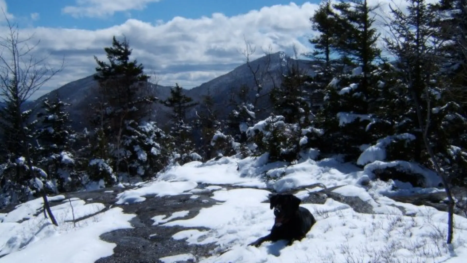 Summit Snow