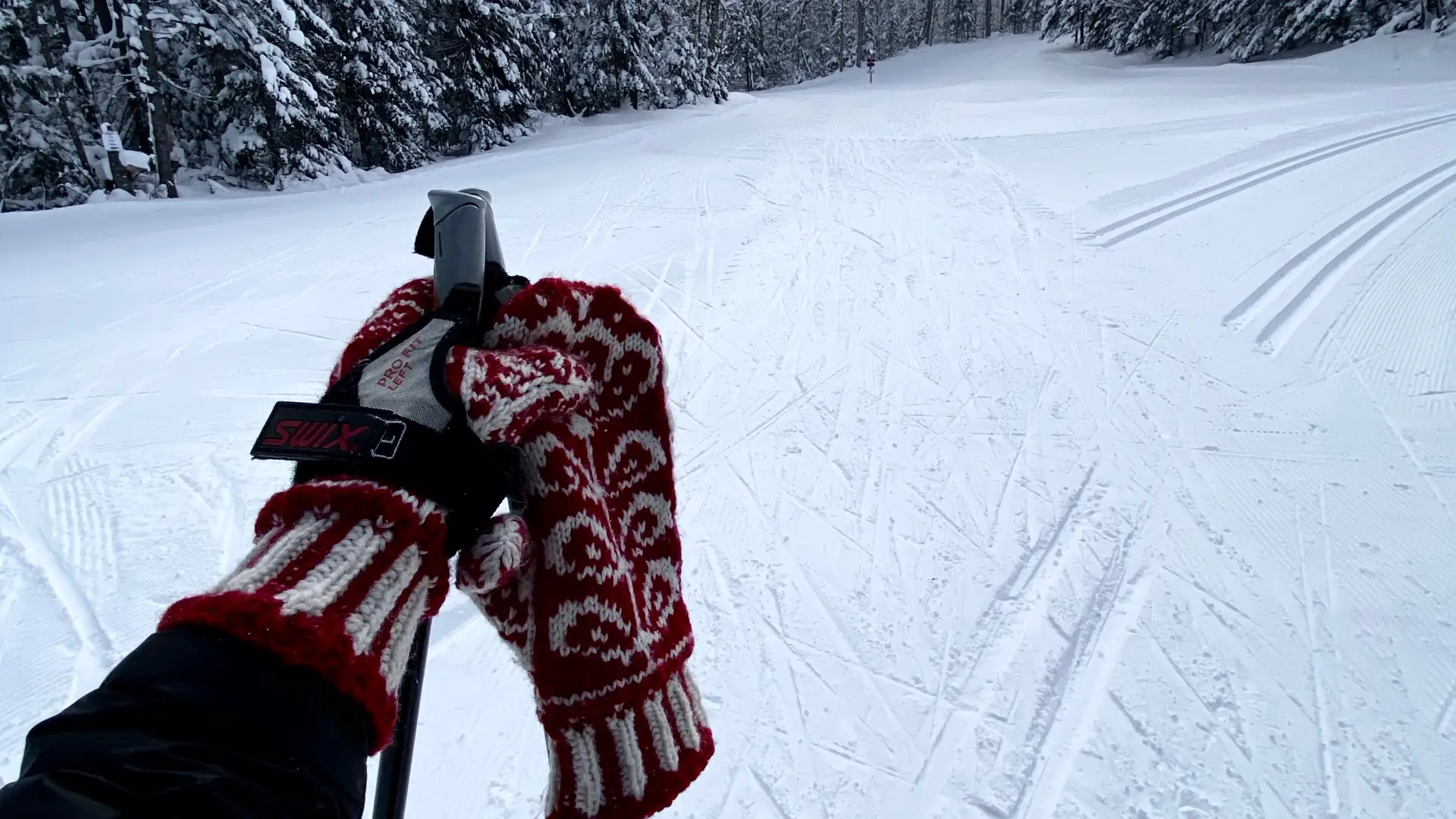 View of cross-country ski trail in winter.