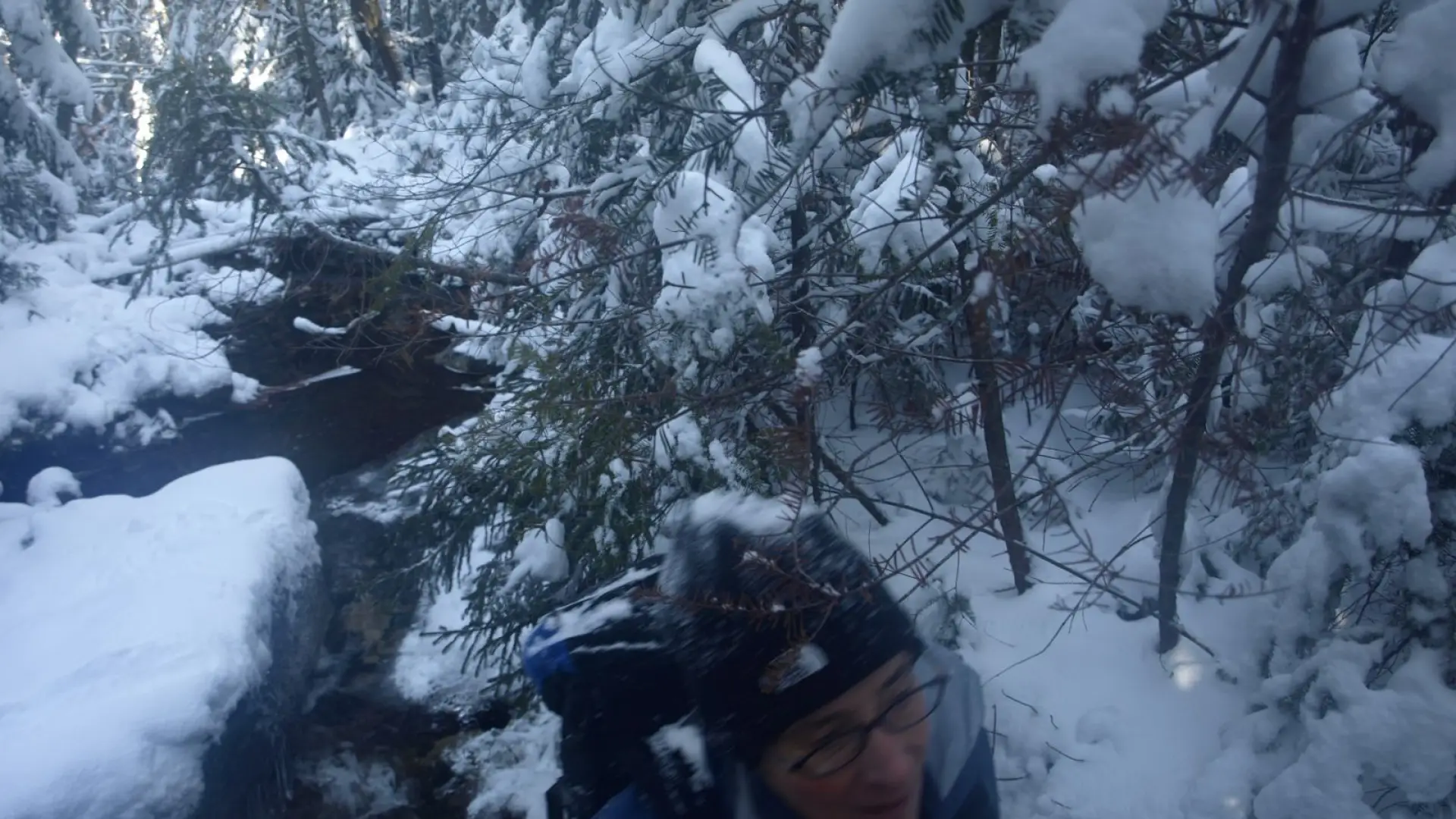 Nancy in route up Phelps Brook