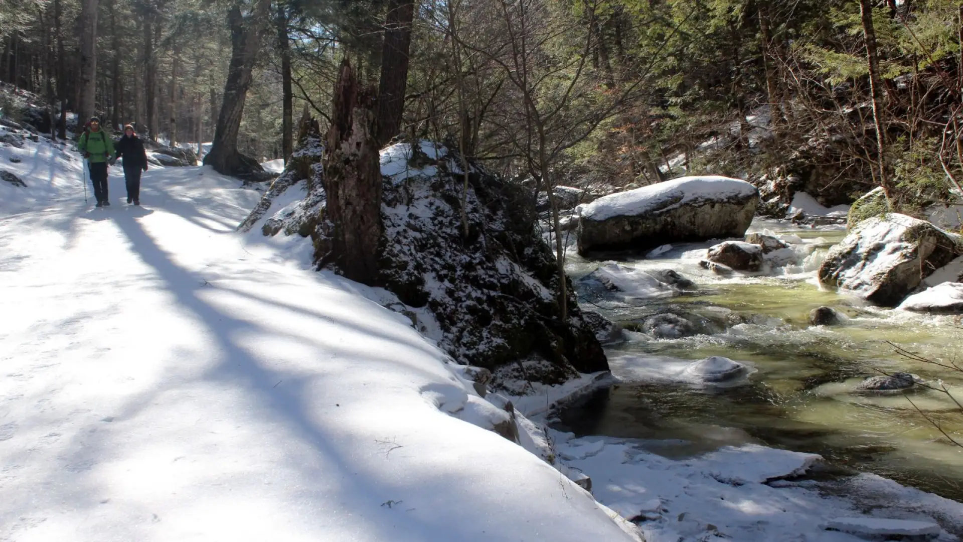 Lake Road maintains a steady grade as it climbs toward Lower Ausable Lake.
