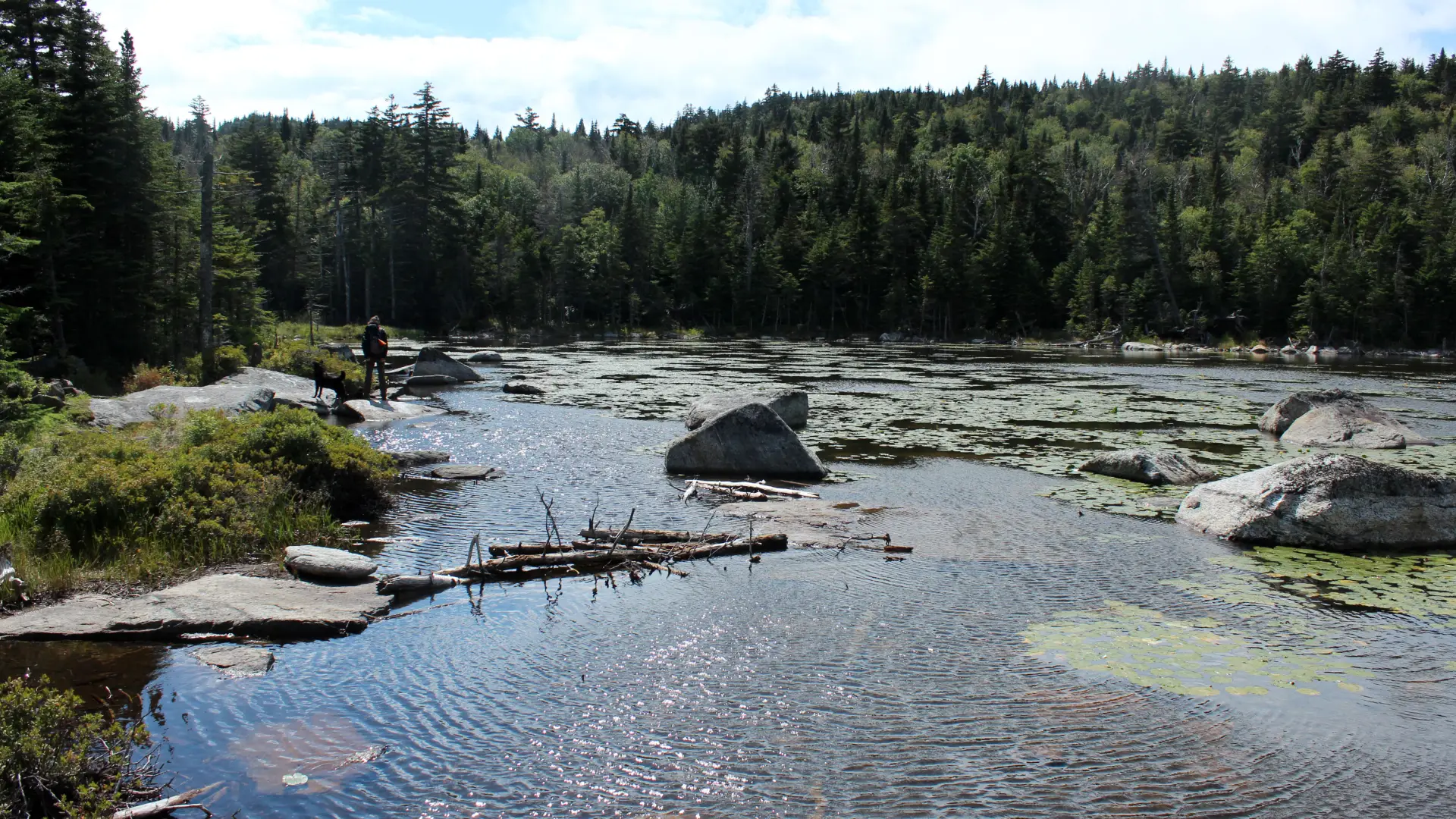 This scenic pond offers a treat for fishing and camping along with hiking.