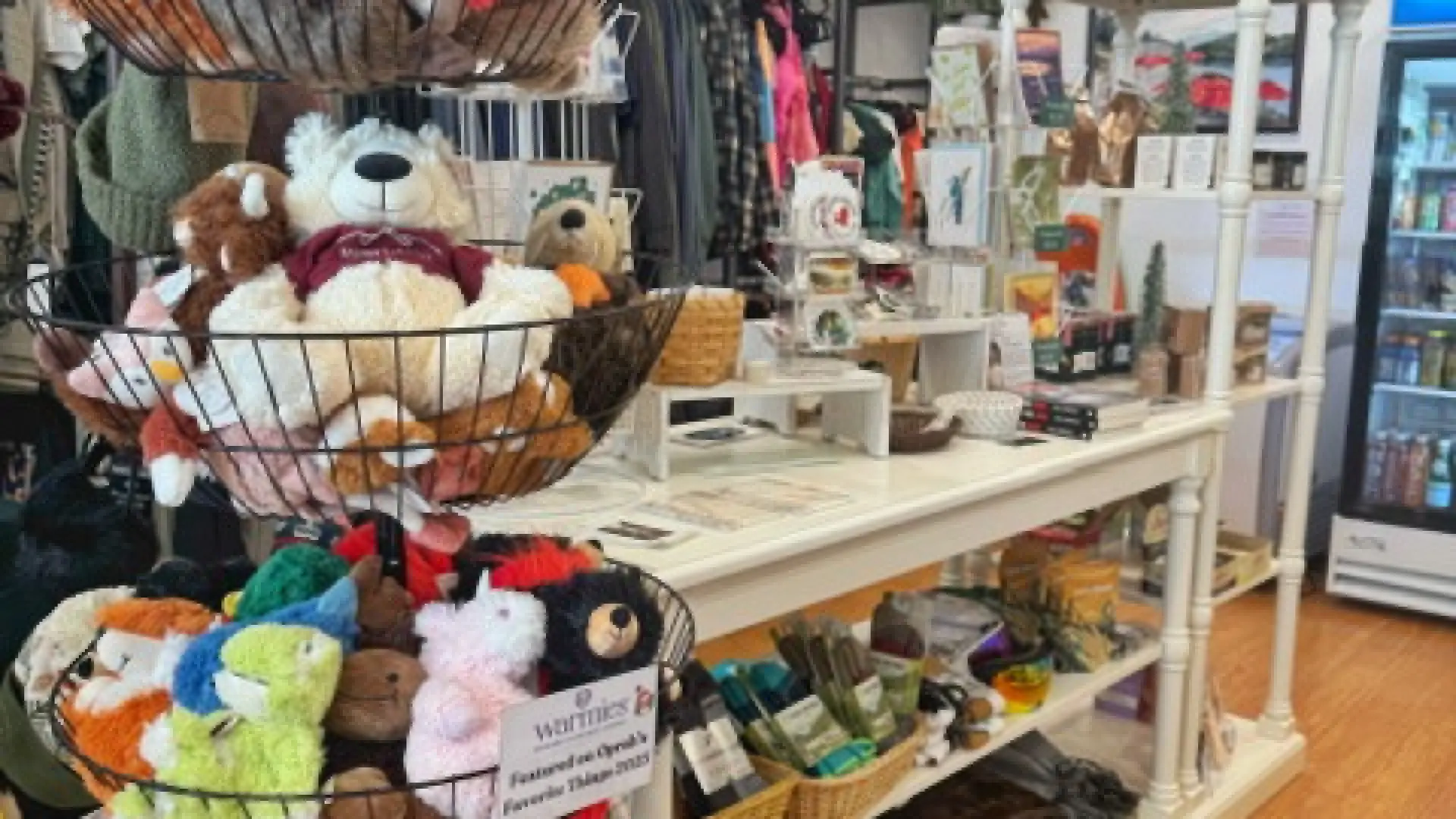 Stuffed animals, stickers and cards and various other items on shelves and in baskets. 