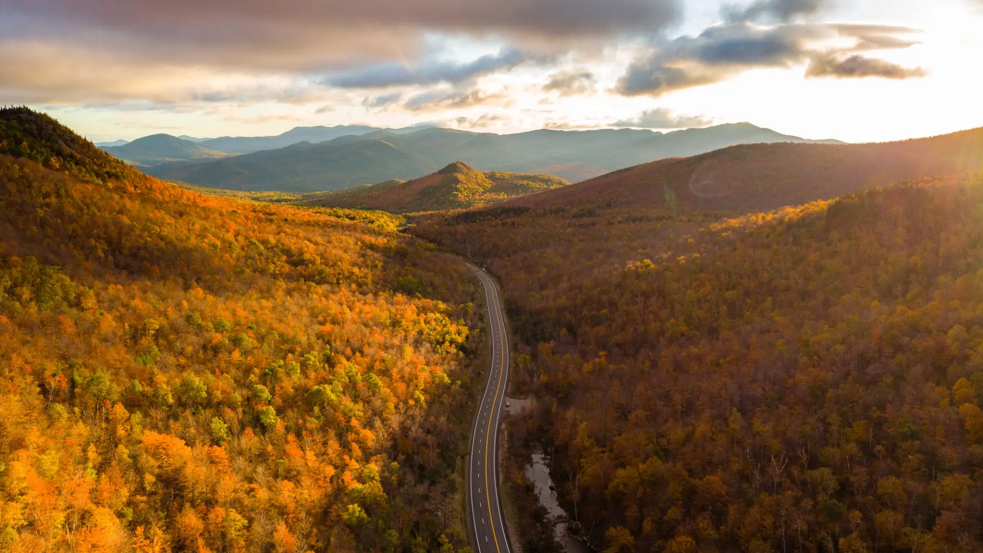 A valley of foliage with a road cutting through it.