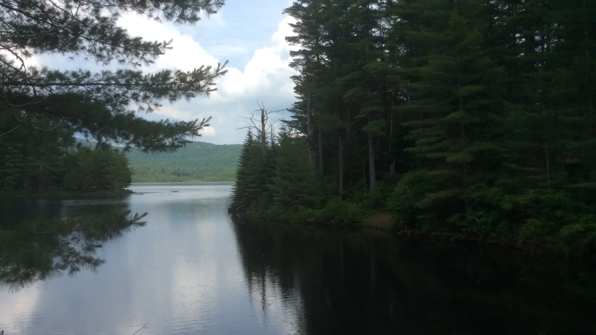 Lots of places to explore at Buck Pond.