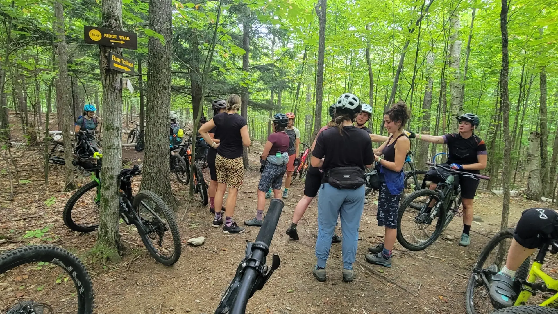 A group of women mountain bikers pause on a trail in a wooded area to chat.  Several bicycles are parked nearby.