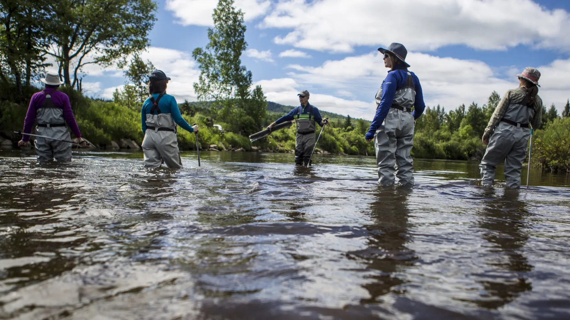 Five people in fishing waders walk through a shallow area of river.