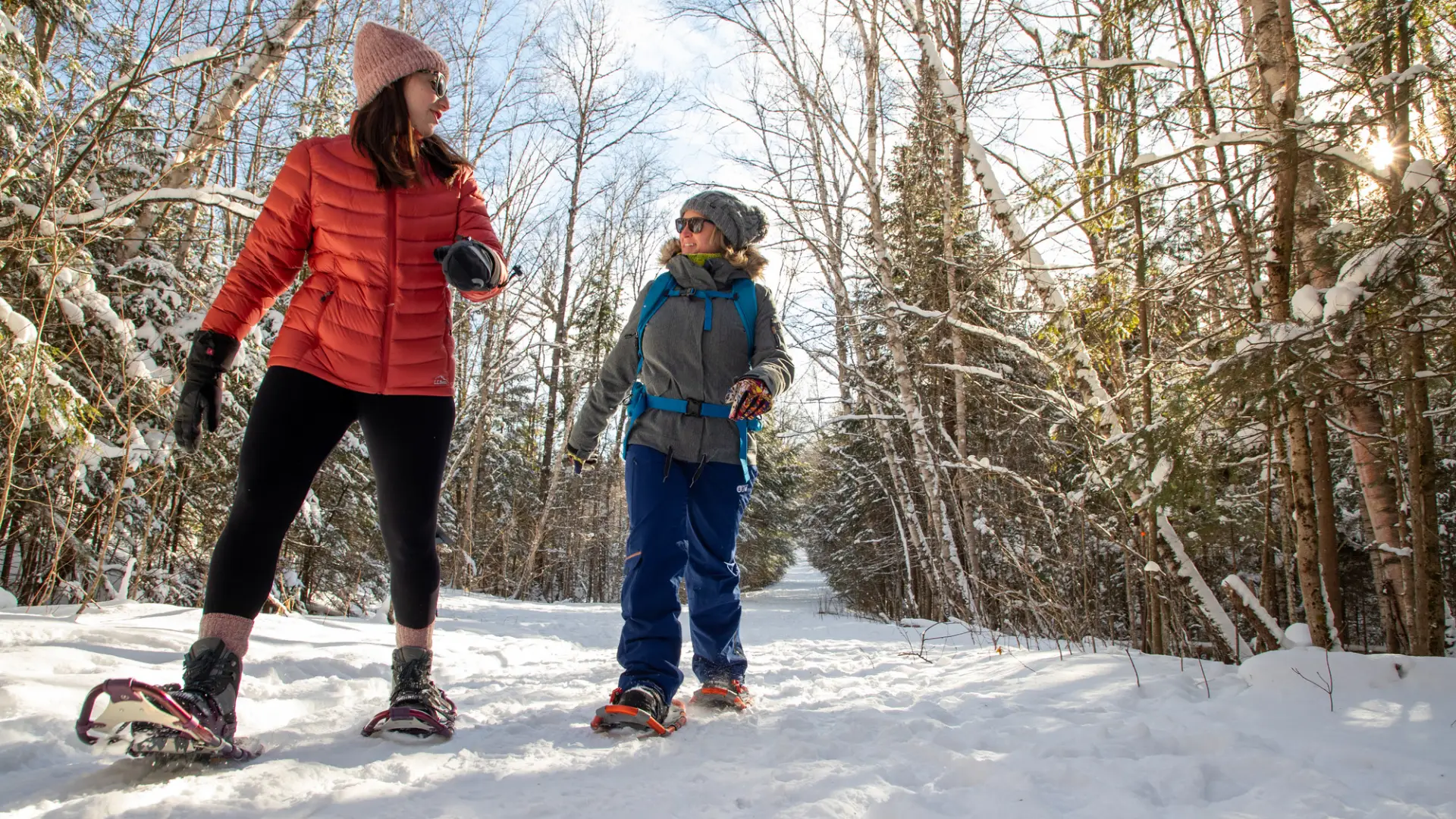 Two women snowshoe on a sunny, snowy wooded trail.