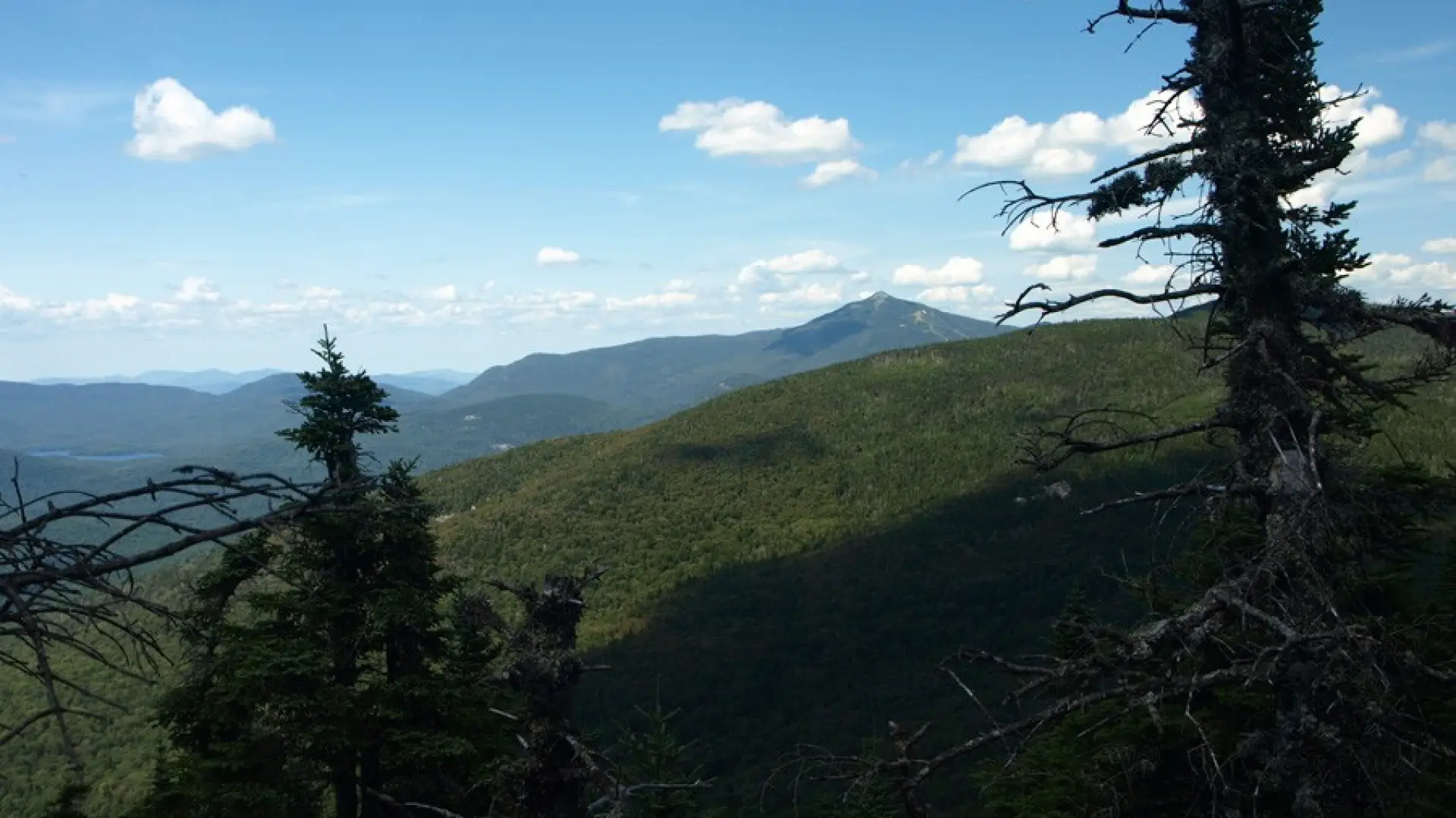 The view through trees of a pointed mountain