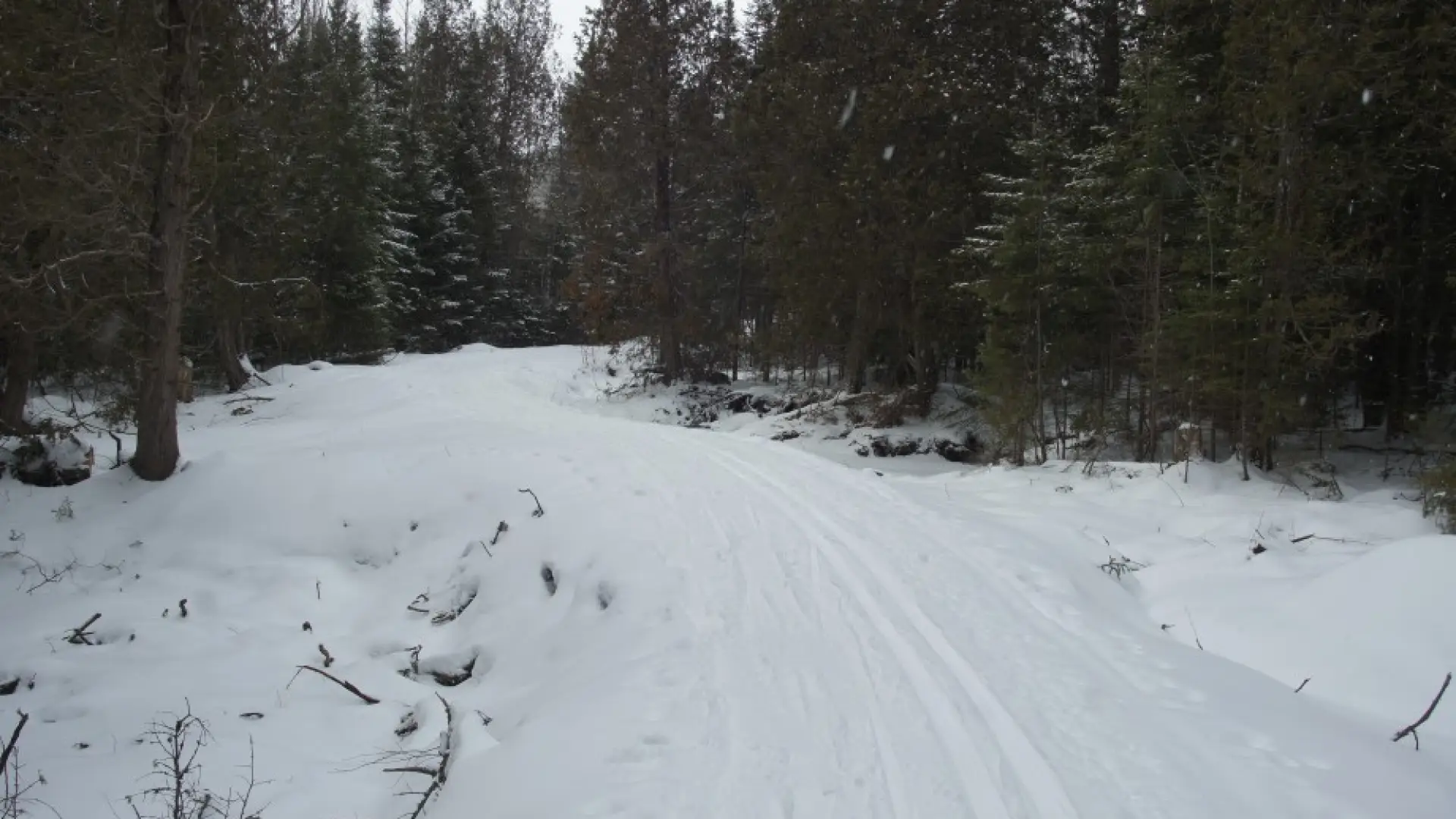 Cascade trails