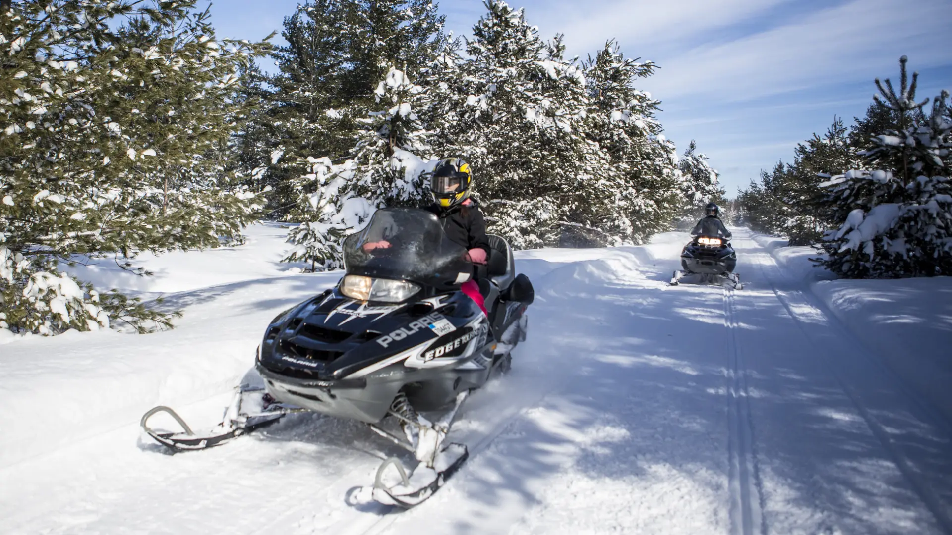 Snowmobiles on a sunny winter trail lined with wooden rails and evergreen trees. The scene is peaceful and active.