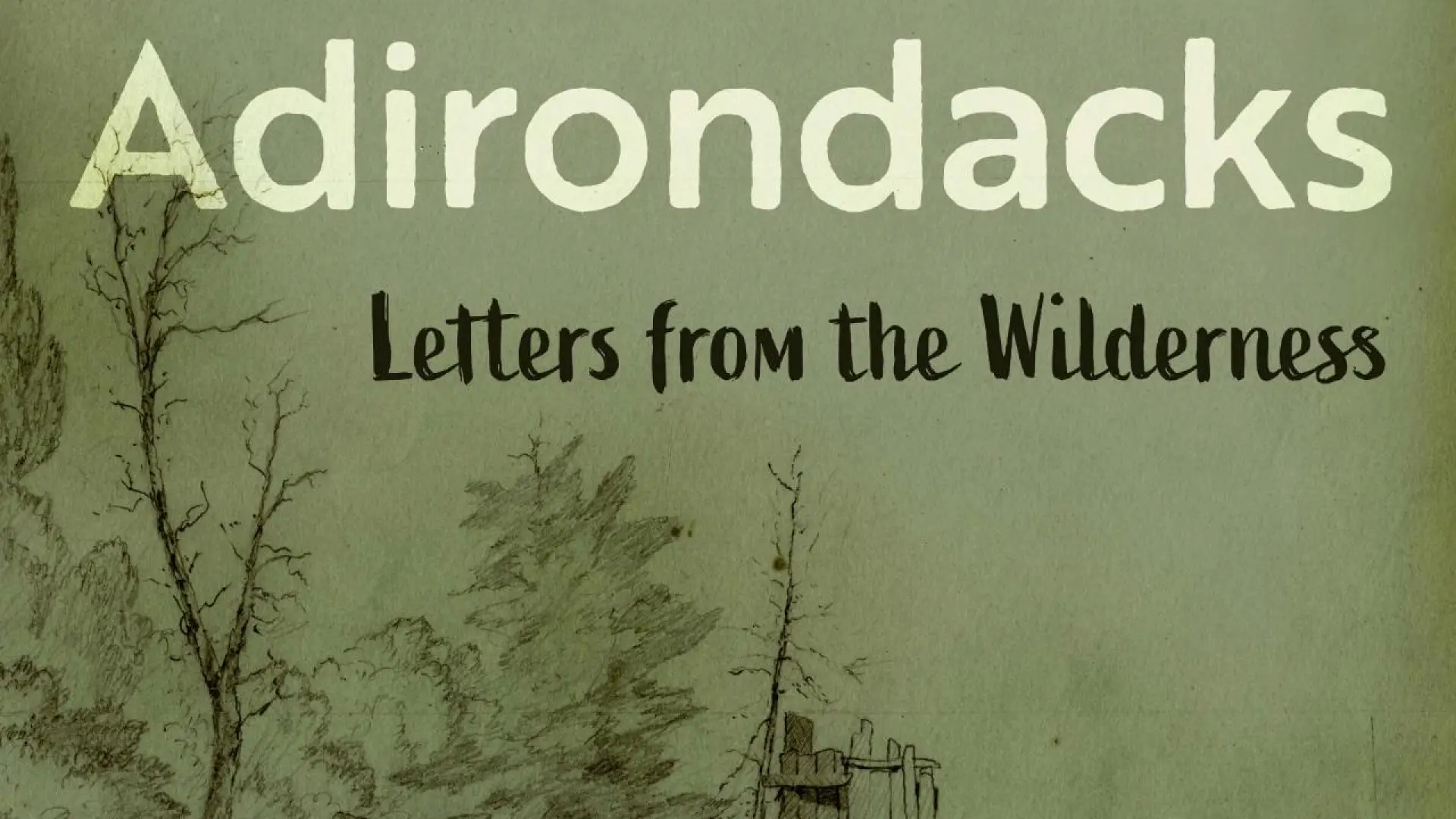 Green book cover with sketch of trees and primitive shelter, title Sketching the Adirondacks, author Edward Pitts