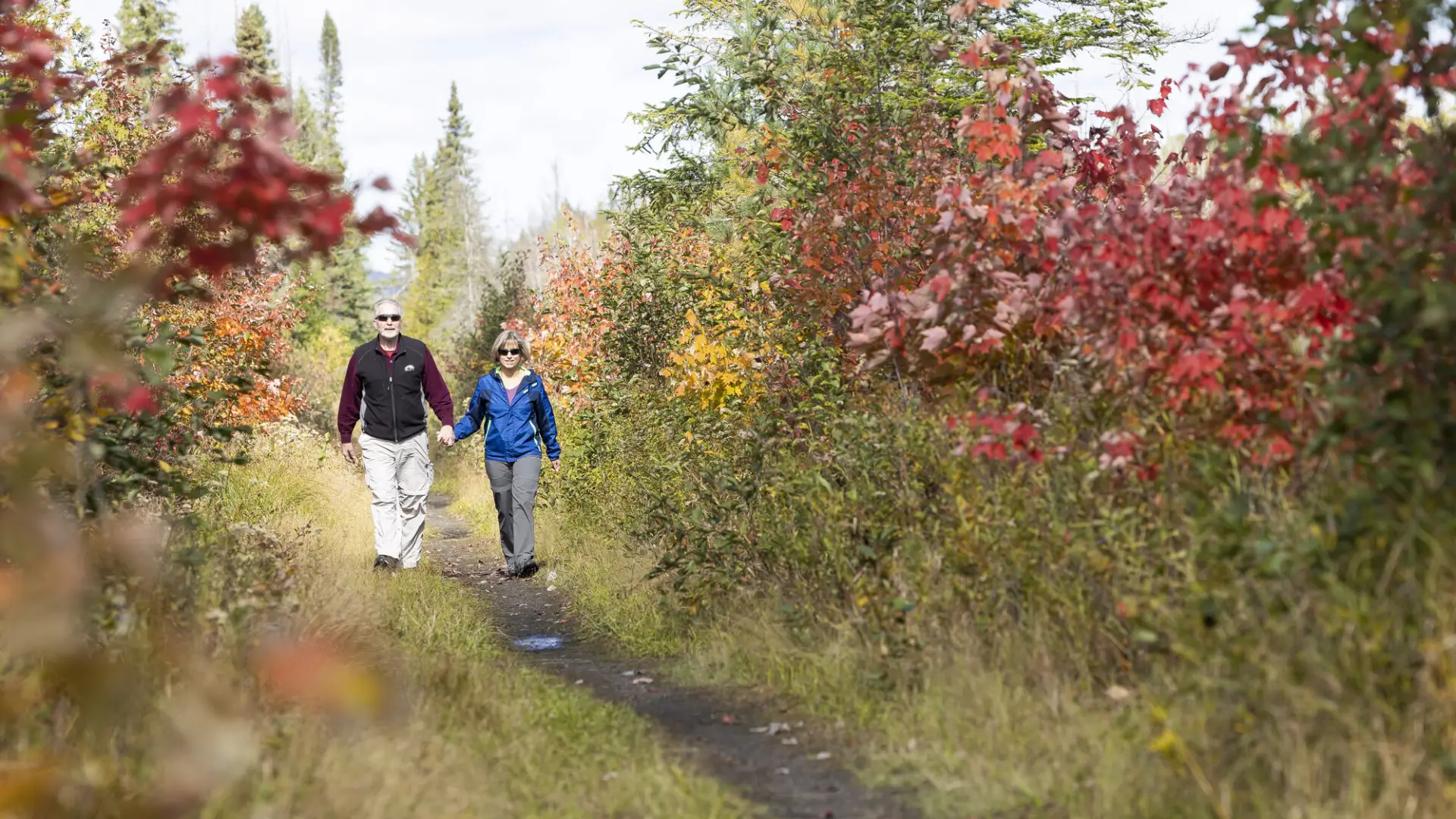An older couple walking on the Bloomingdale Bog Trail in the fall